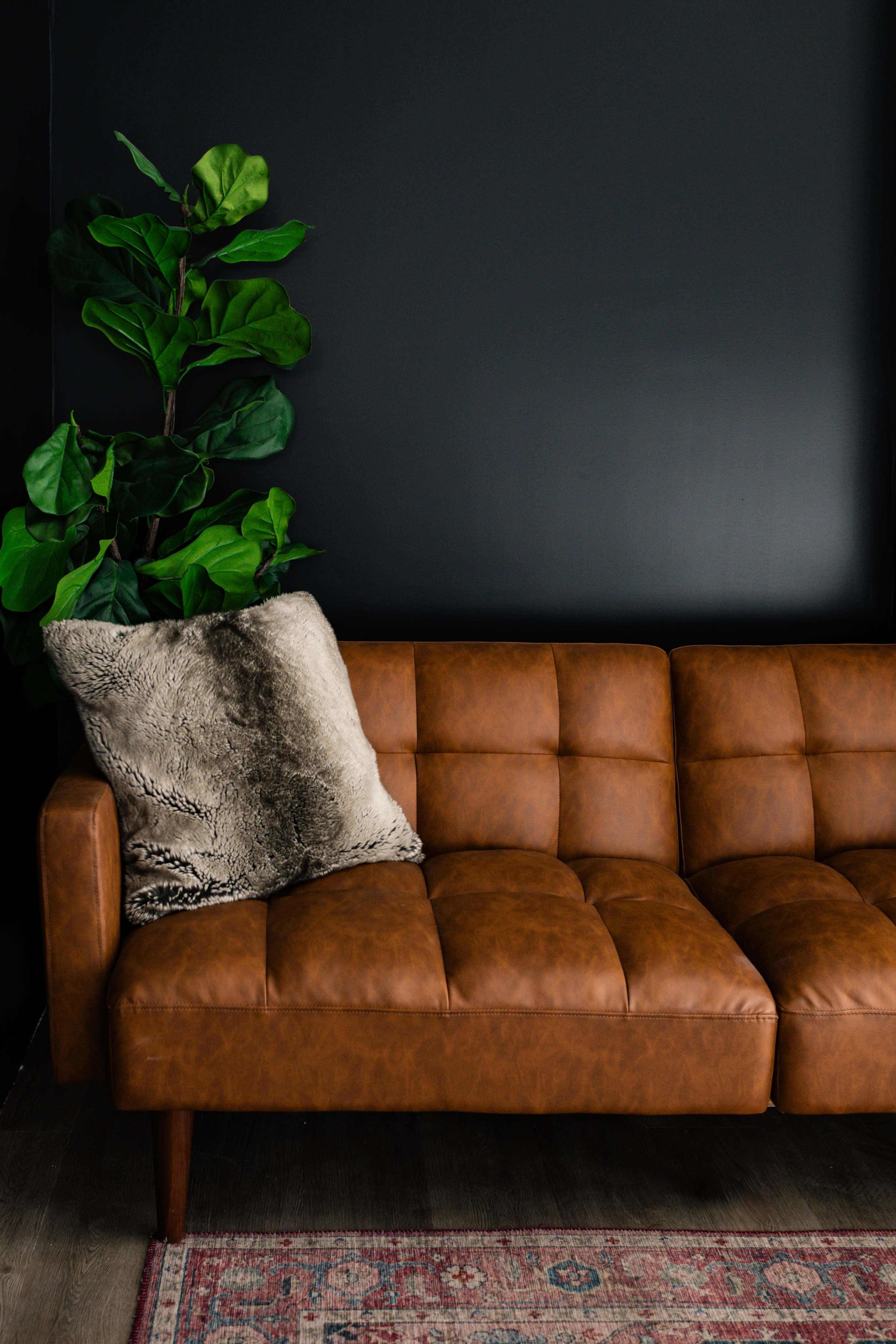 A brown leather sofa with tufted cushions is positioned against a black wall, accompanied by a large green plant and a decorative pillow.