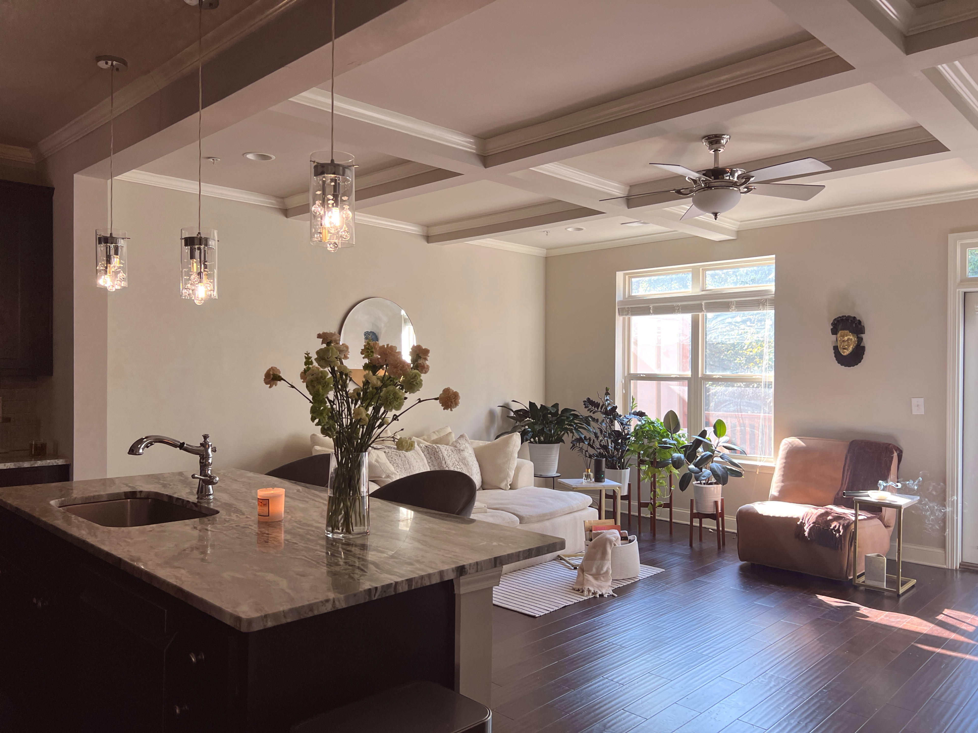 A well-lit living room features a sofa, plants, and a kitchen island with bar stools, complemented by pendant lighting and a ceiling fan.