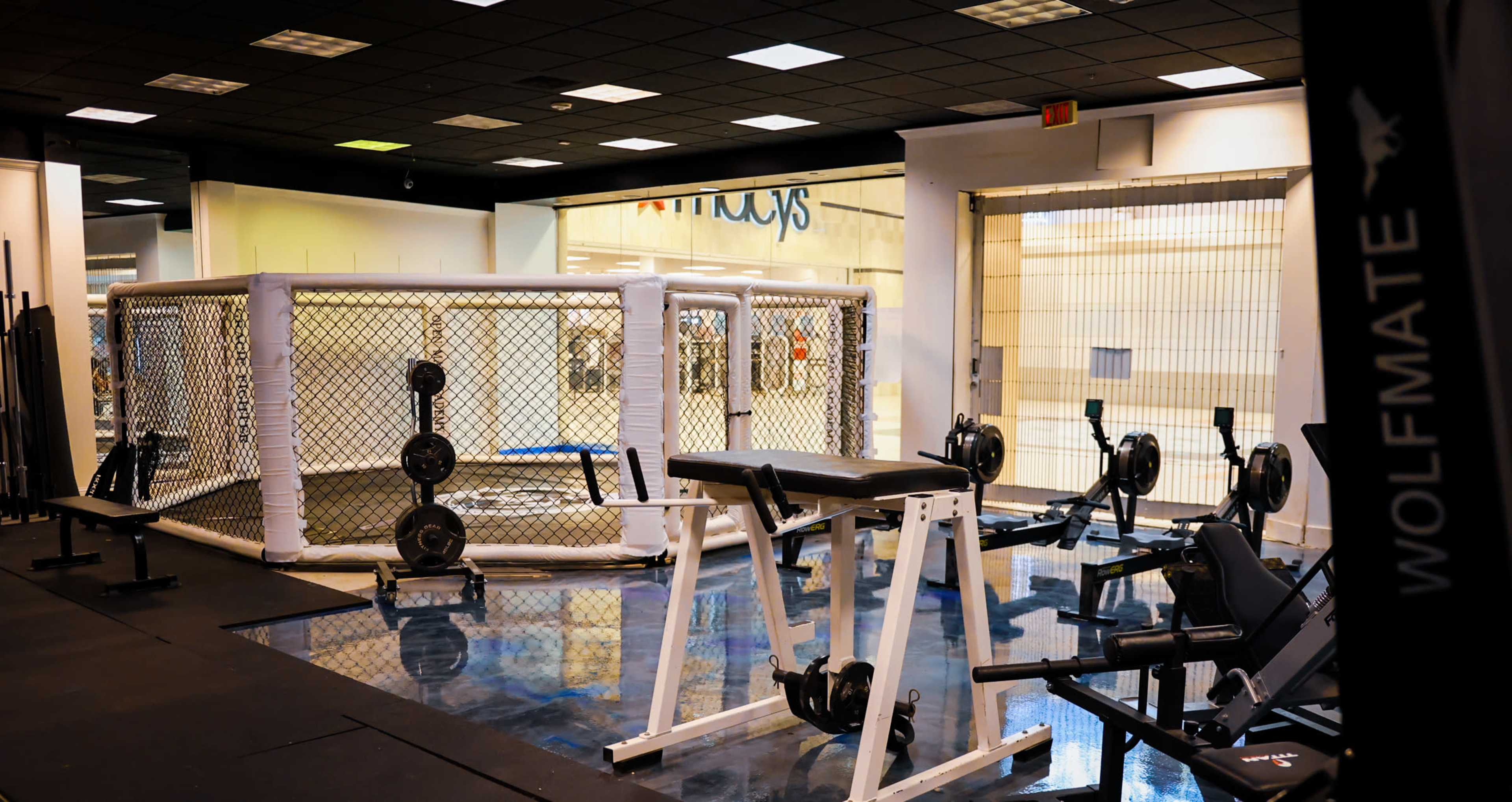 A gym interior featuring a wrestling cage, weightlifting equipment, and rowing machines.