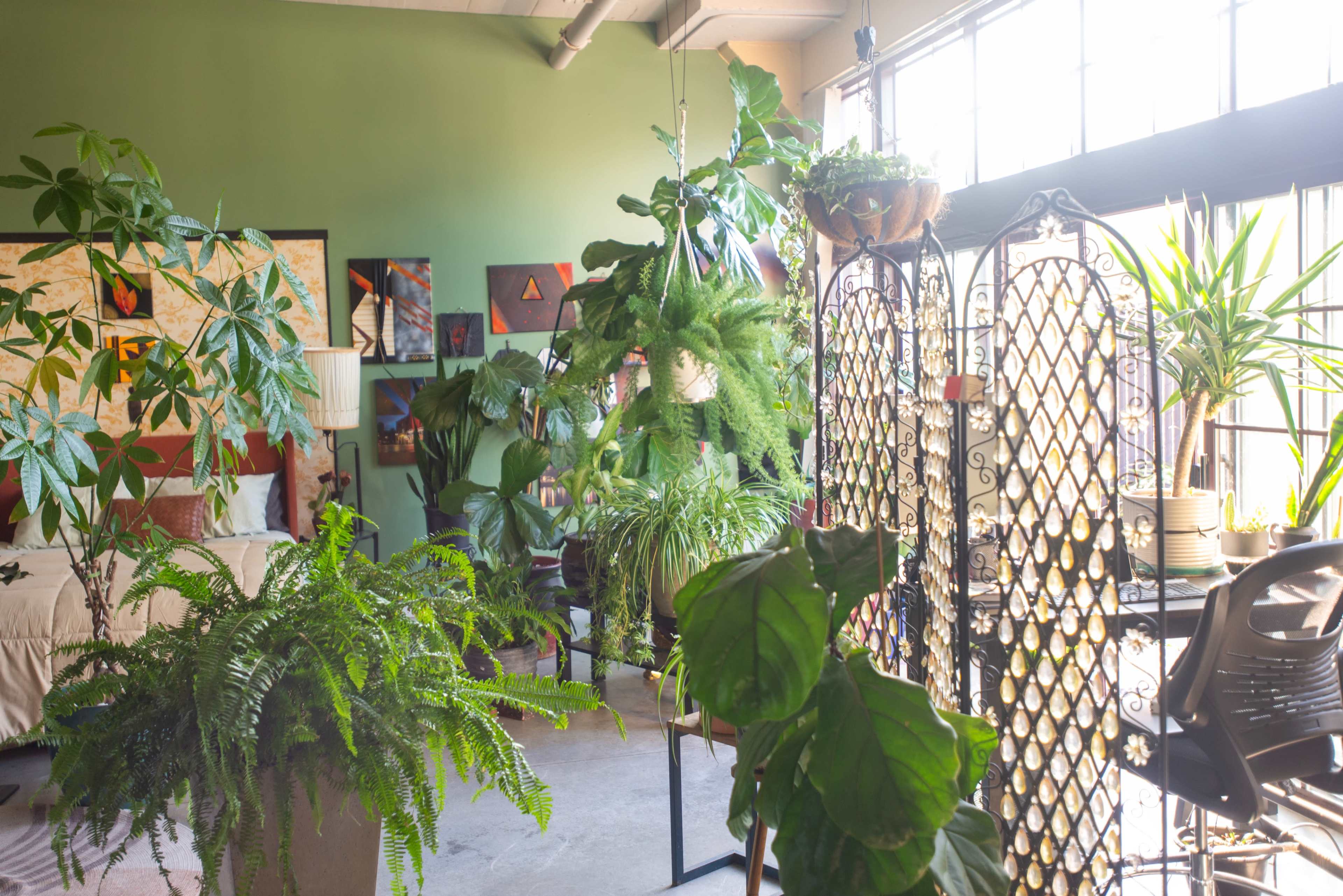 Green art living loft Image in East 14th Street Business District, Oakland, CA