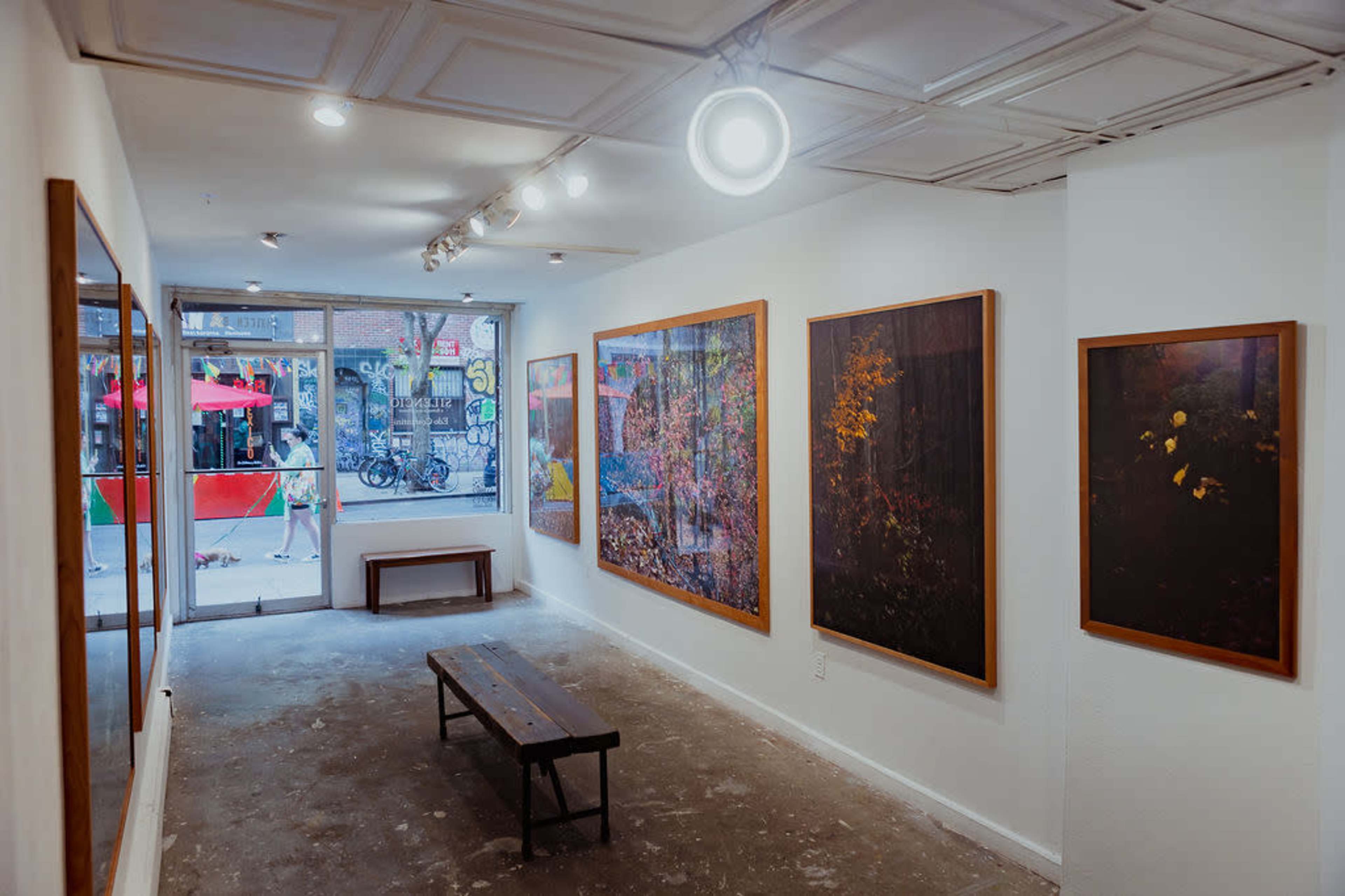 An art gallery with framed paintings on the white walls and a wooden bench in the center, with large windows revealing an outdoor scene.