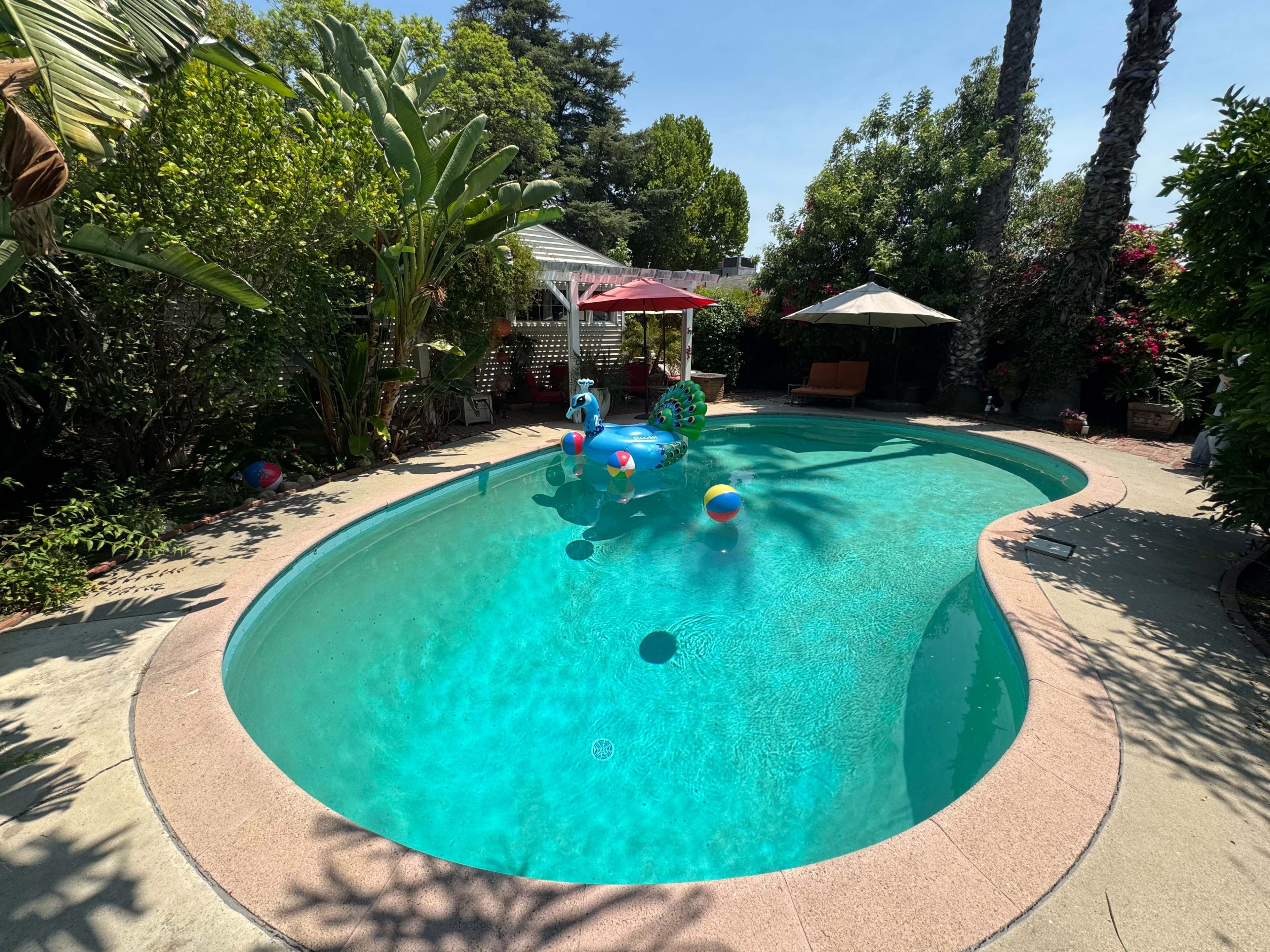 The Classic Pool Oasis in the Valley Image in Sherman Oaks, Sherman oaks, CA