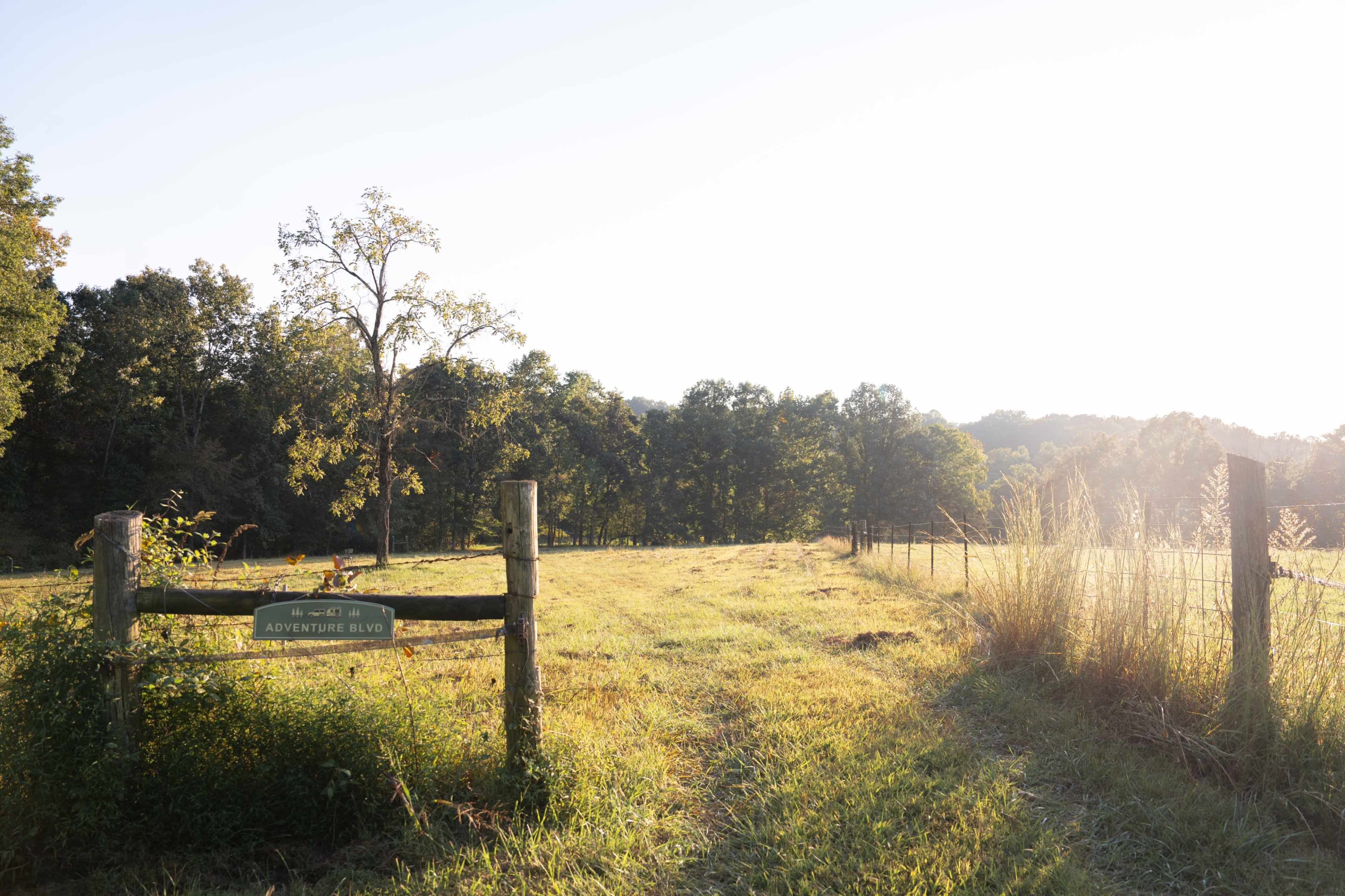 A wooden sign labeled "Adventure River" stands at the entrance of a grassy field bordered by trees under a bright sky.