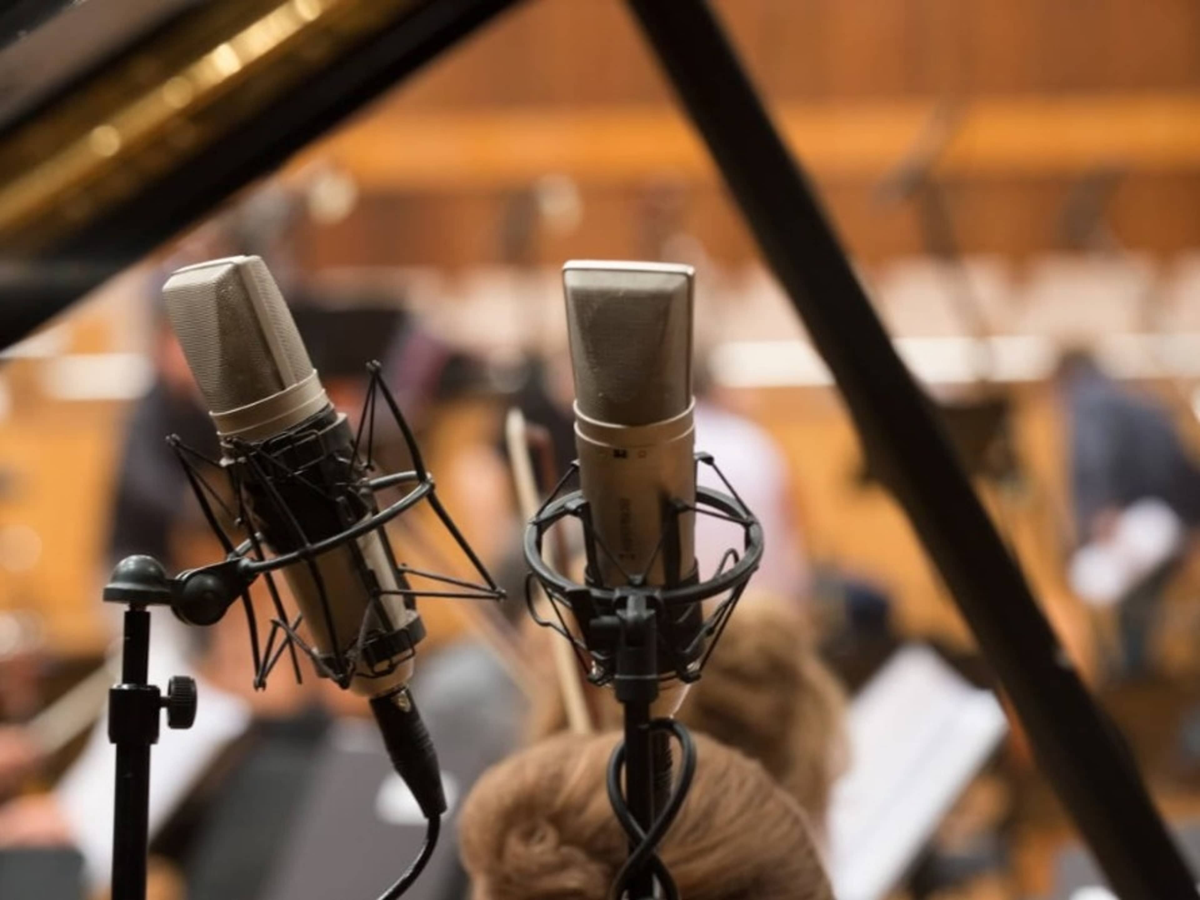 Additional Mics & Audio recordings (2 included)