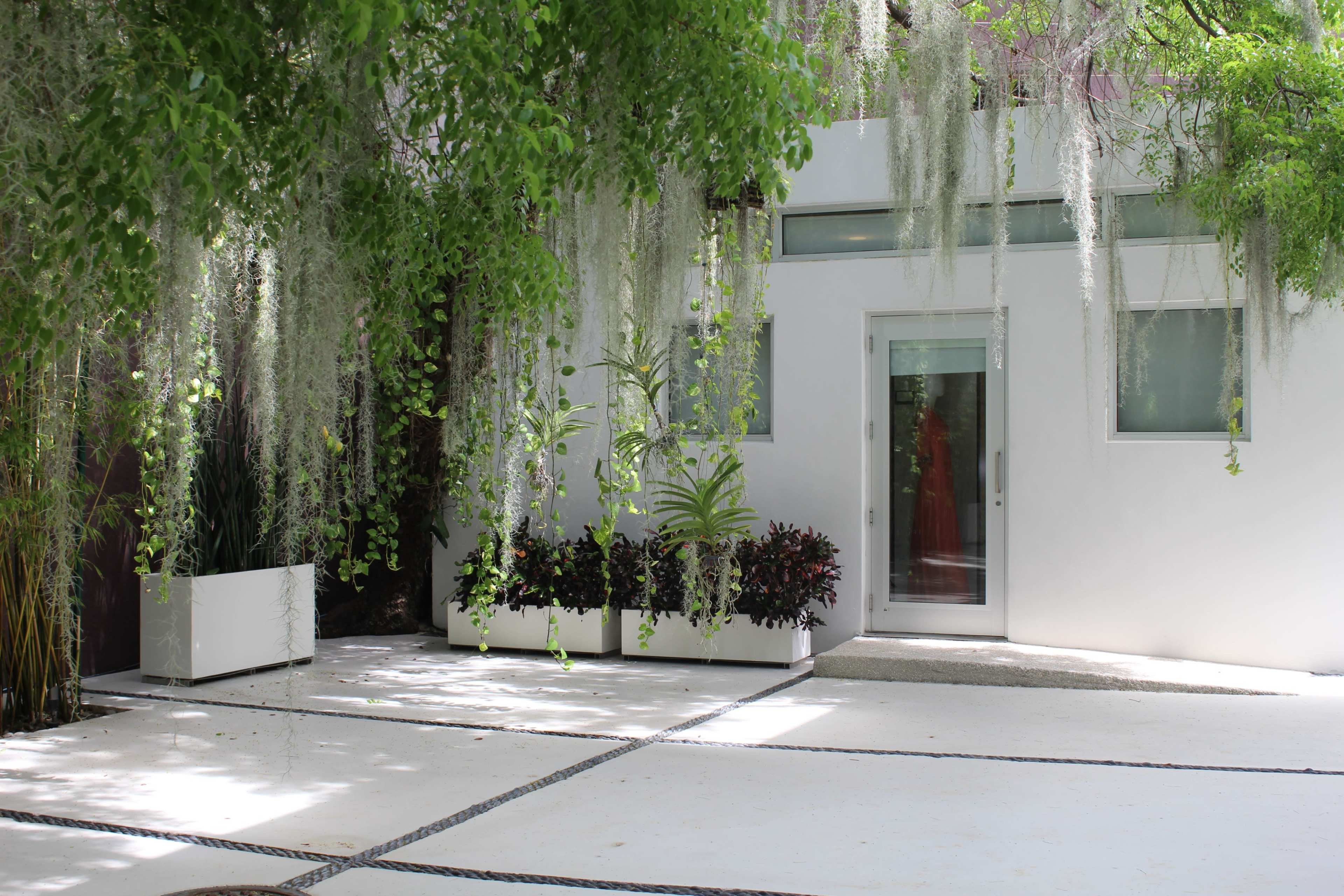 A modern white building with a glass door is surrounded by greenery and decorative plants on a stone pathway.