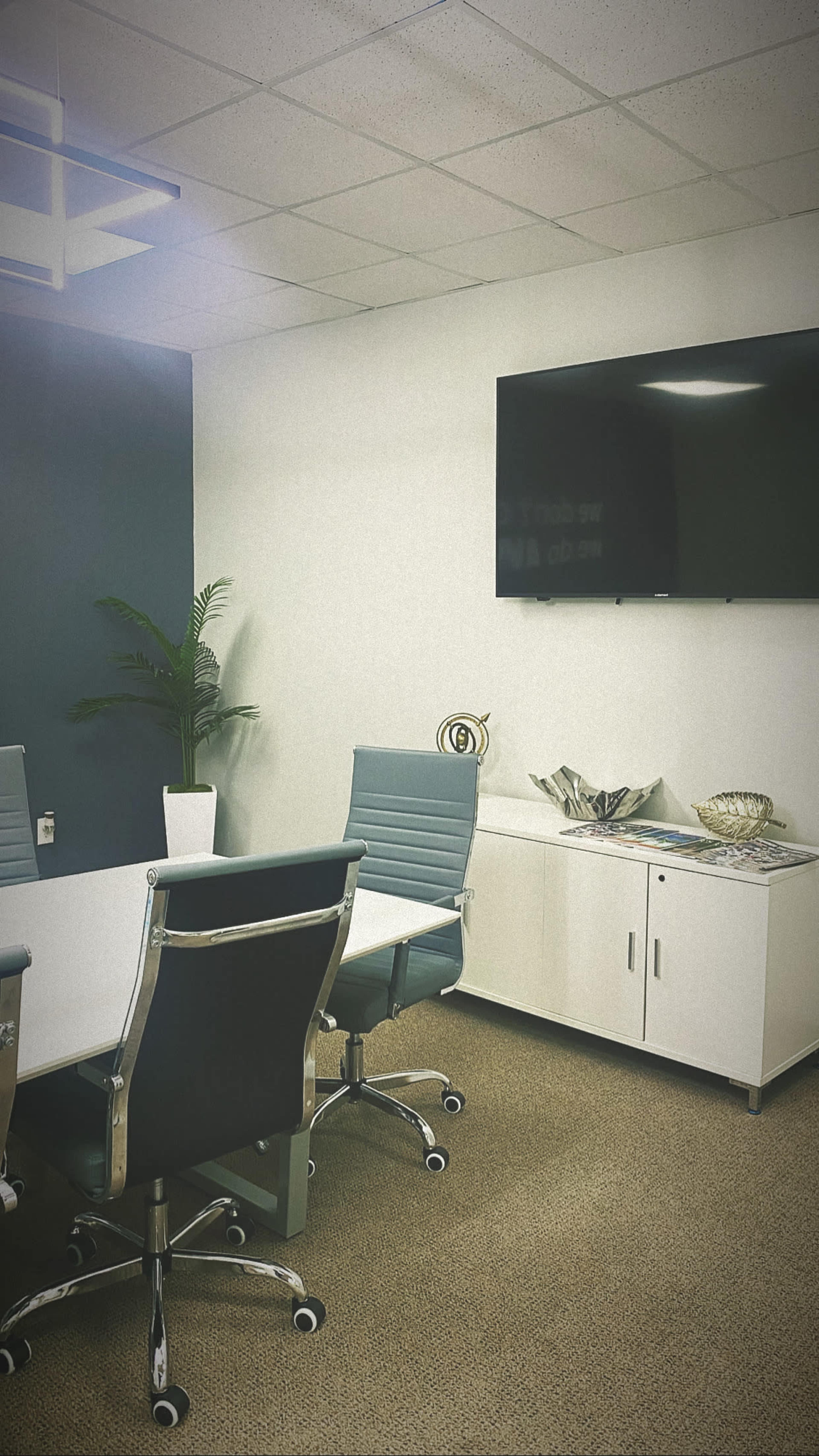 A conference room with a rectangular table, four rolling chairs, a large wall-mounted TV, and a potted plant in the corner.
