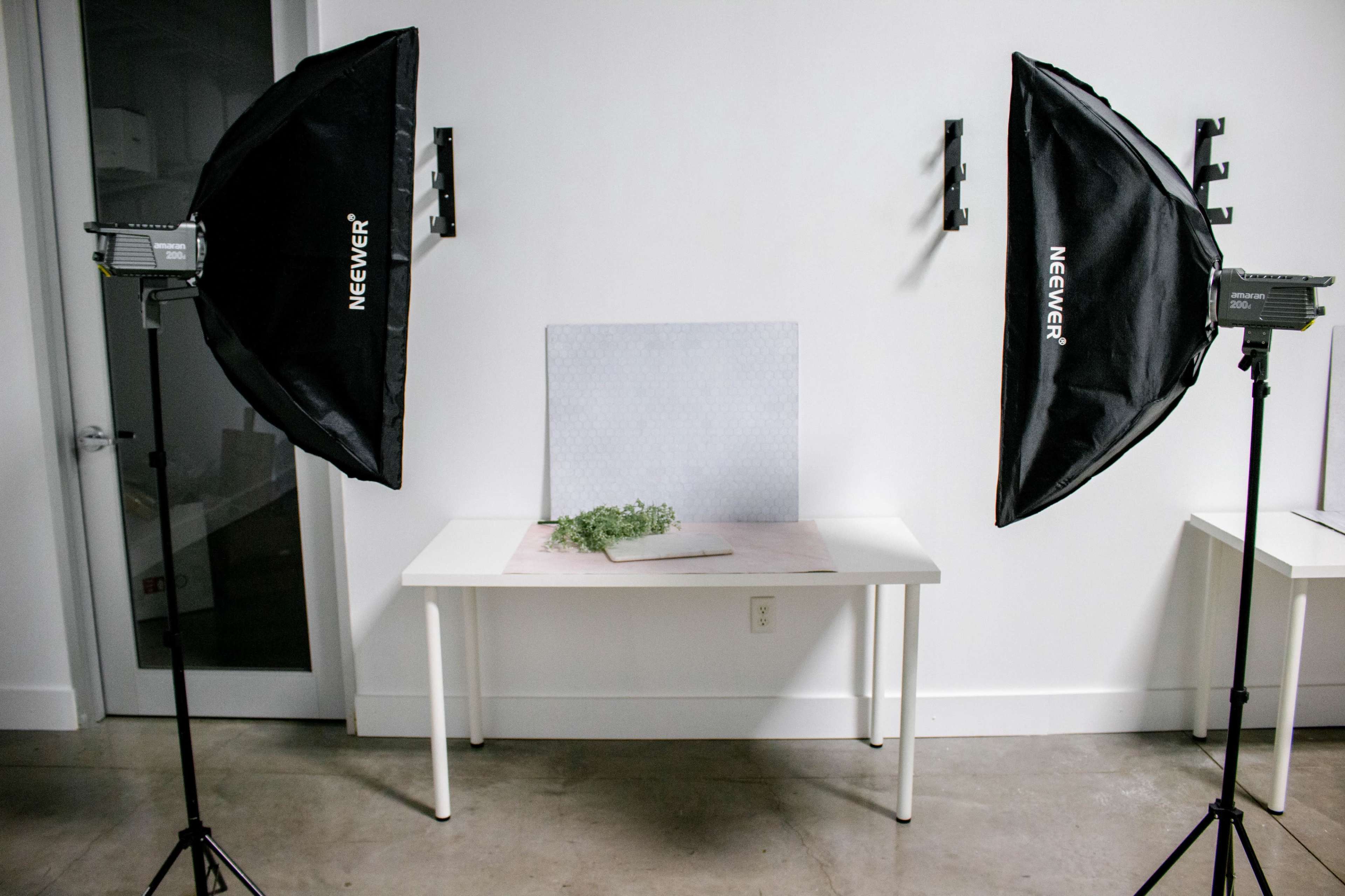A photography setup with two softbox lights on either side of a table featuring a blank backdrop and a small plant arrangement.