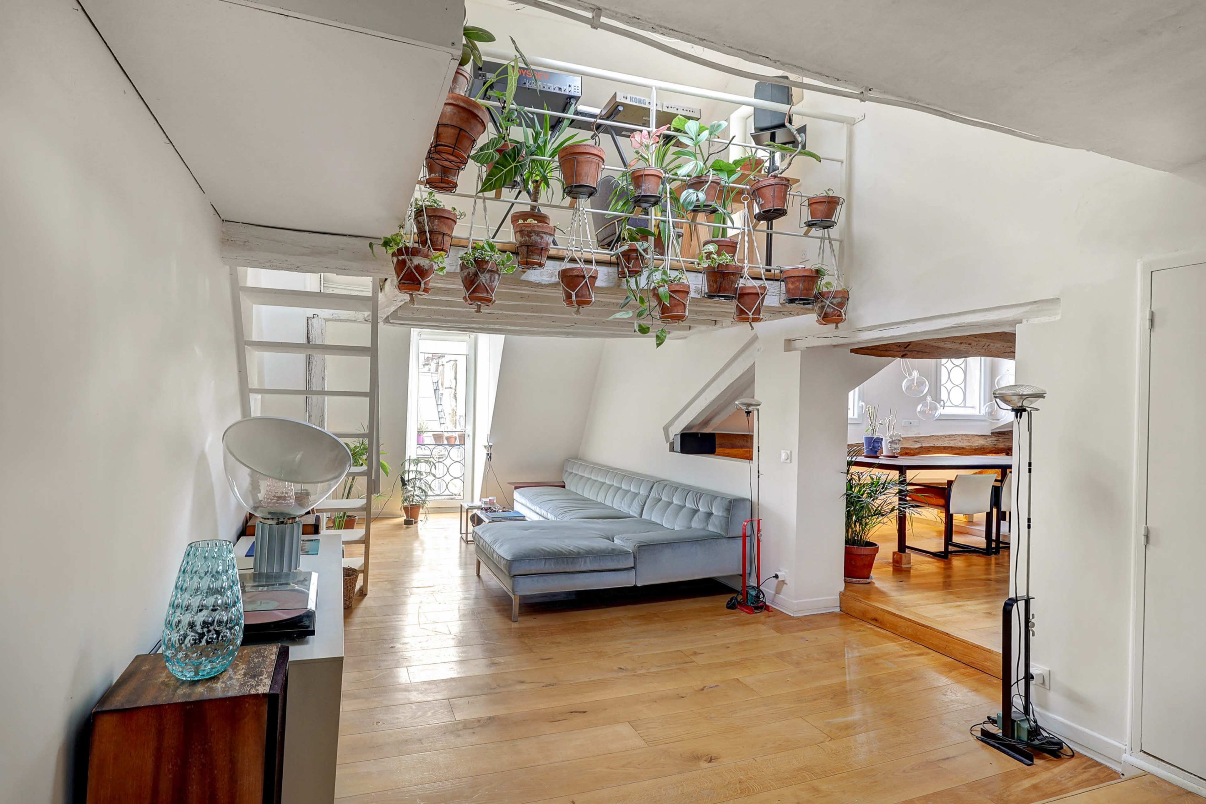 A bright, open-plan living space with a gray sofa, wooden flooring, and numerous potted plants hanging from a shelf above.