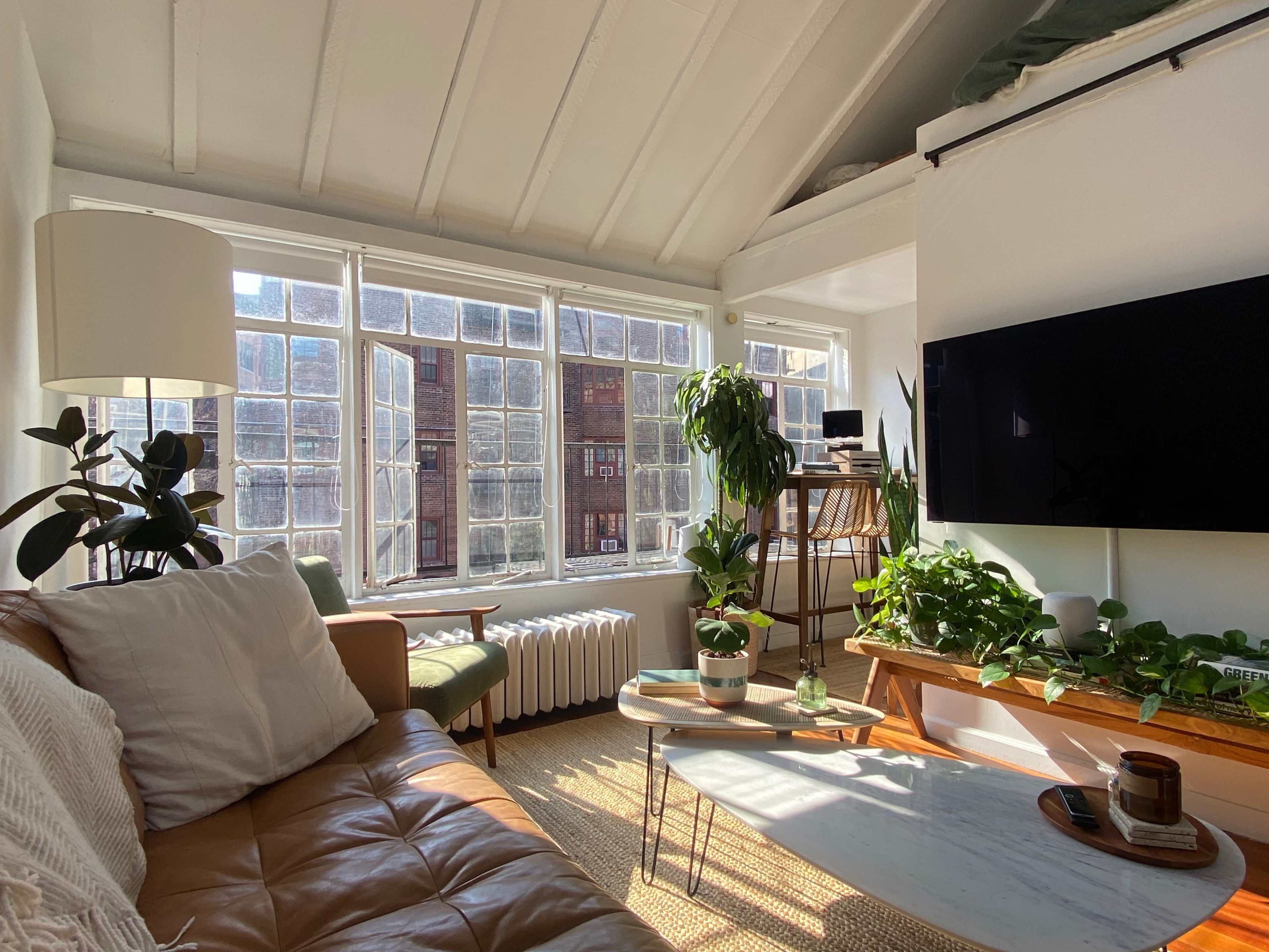 A bright living room features a leather sofa, large windows, and plants arranged around a coffee table.