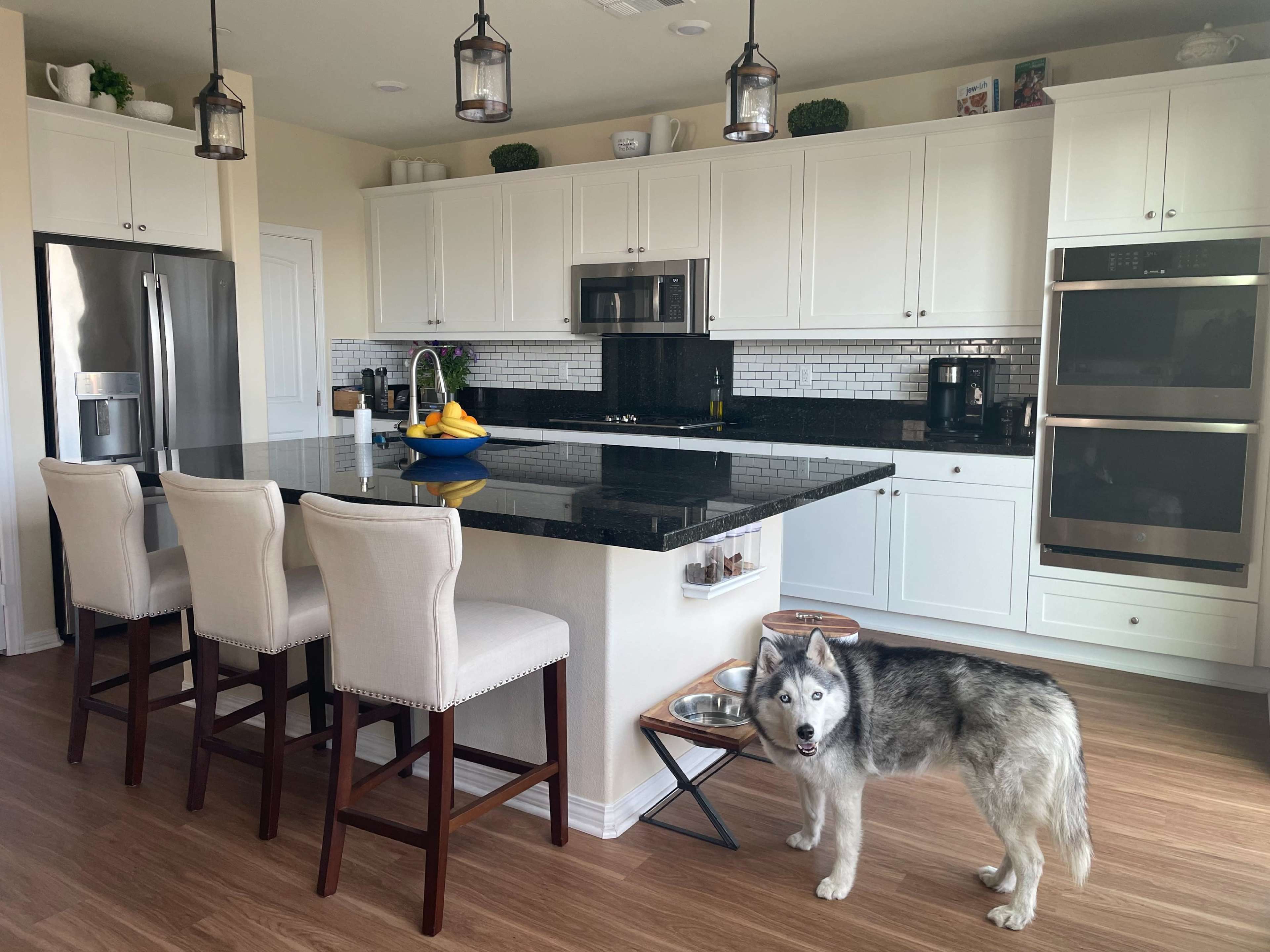 A modern kitchen features a large island with barstools, stainless steel appliances, and a husky dog standing beside a food bowl.