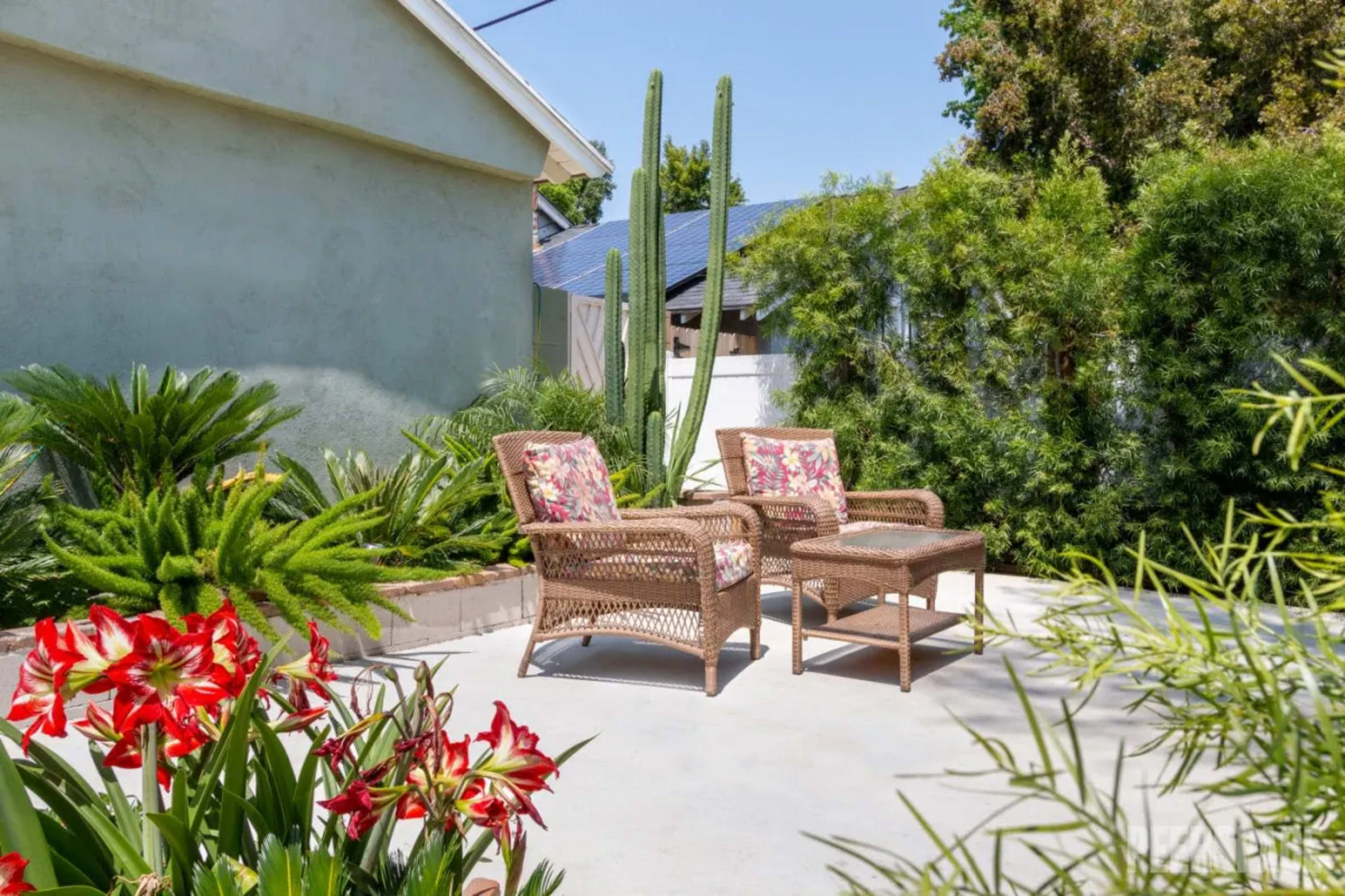 A small patio features two wicker chairs with floral cushions and a table, surrounded by various plants including red flowers and a tall cactus.