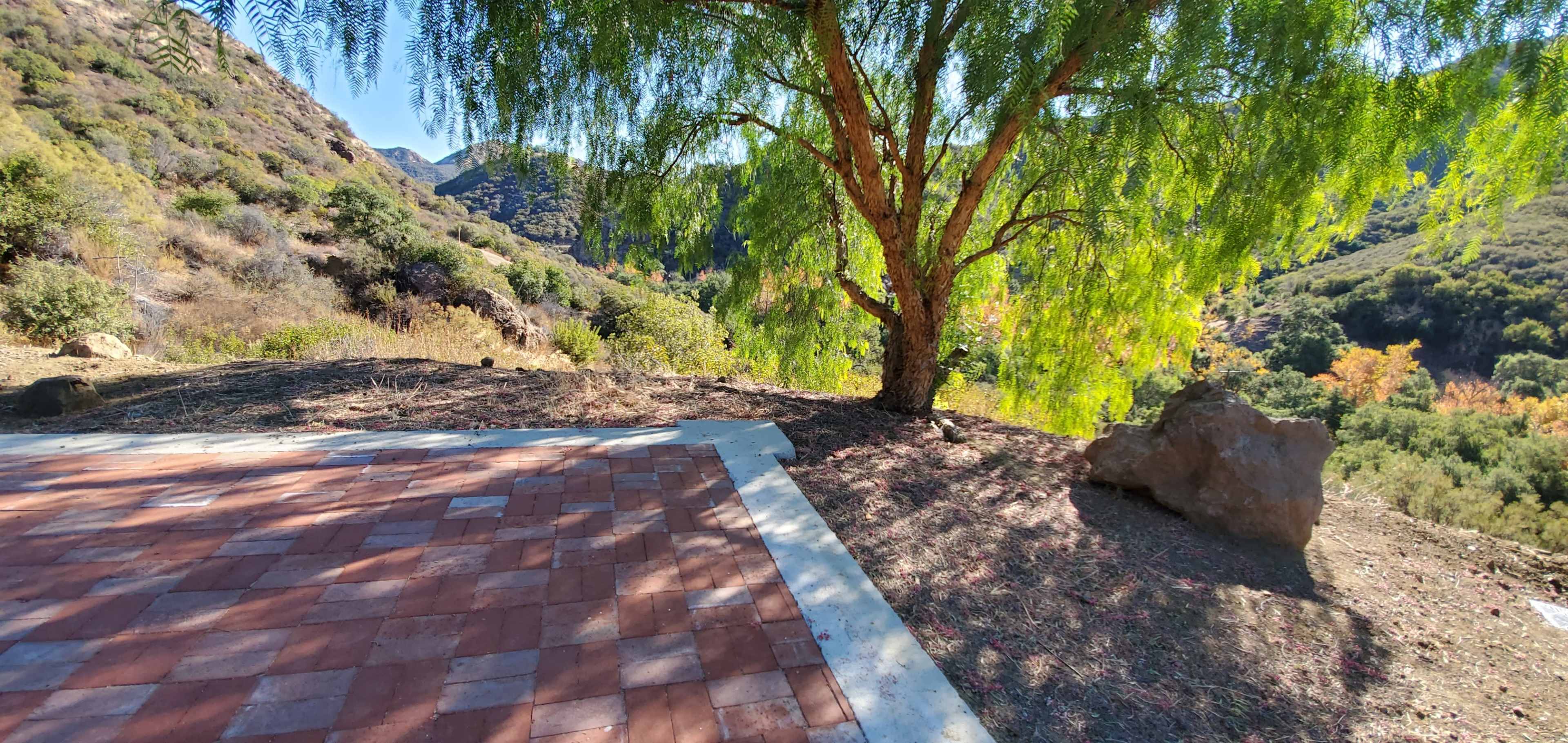 A large tree stands beside a paved area on a hillside surrounded by mountains and greenery.
