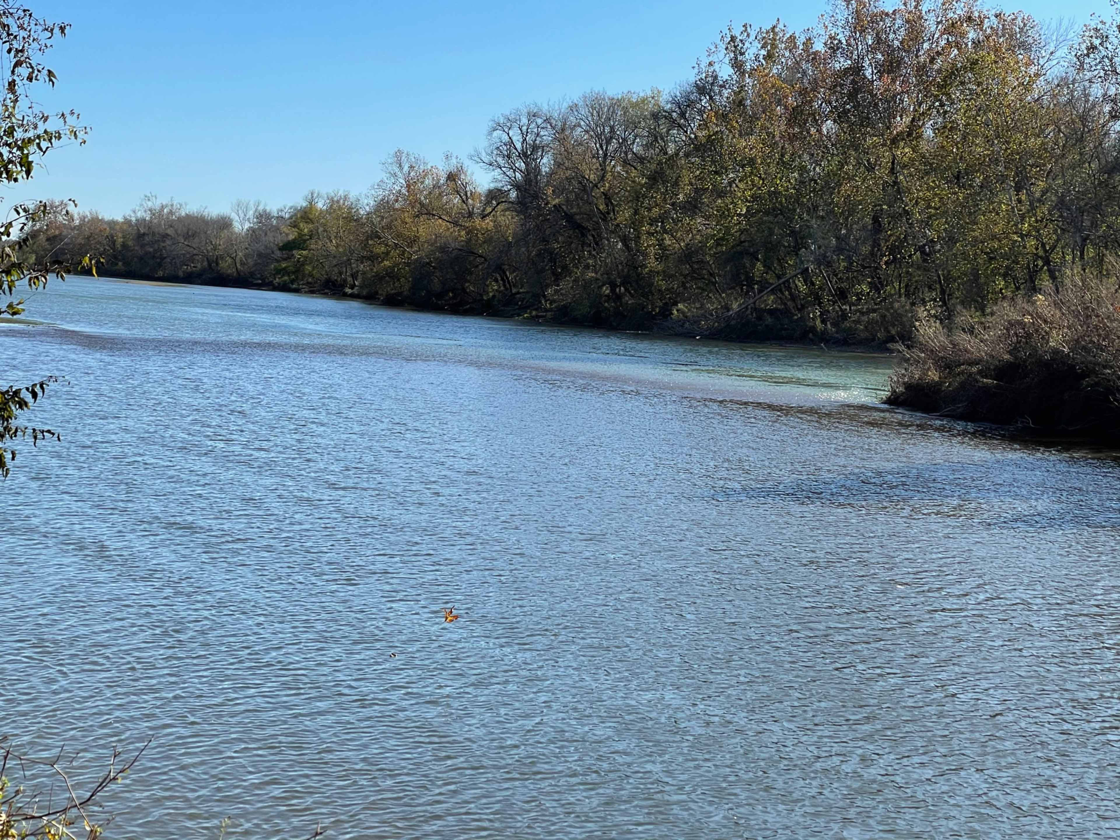 A calm river flows through a landscape lined with trees on both banks under a clear blue sky.