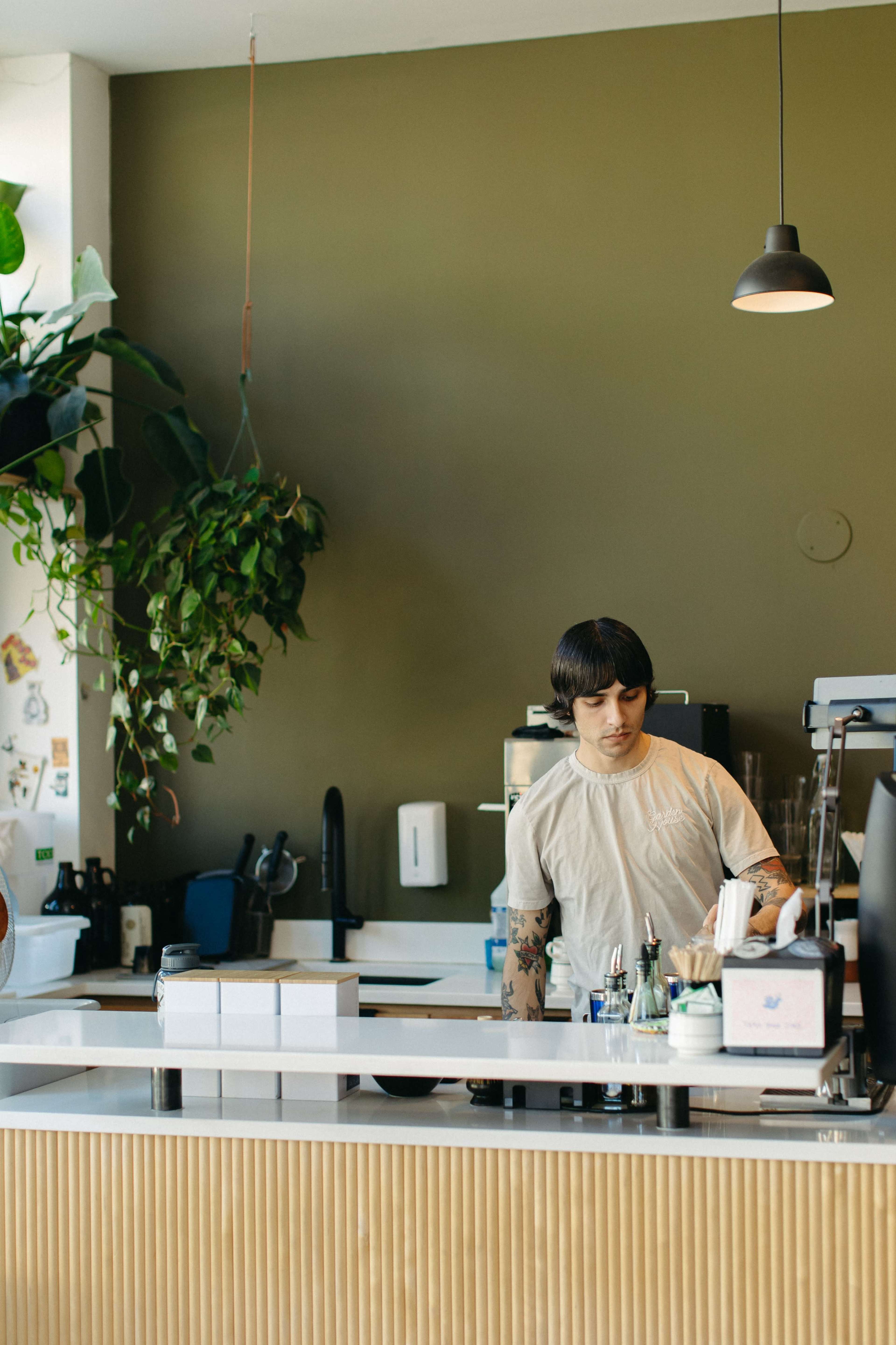 A barista works at a modern coffee shop with a green wall and various plants hanging overhead.