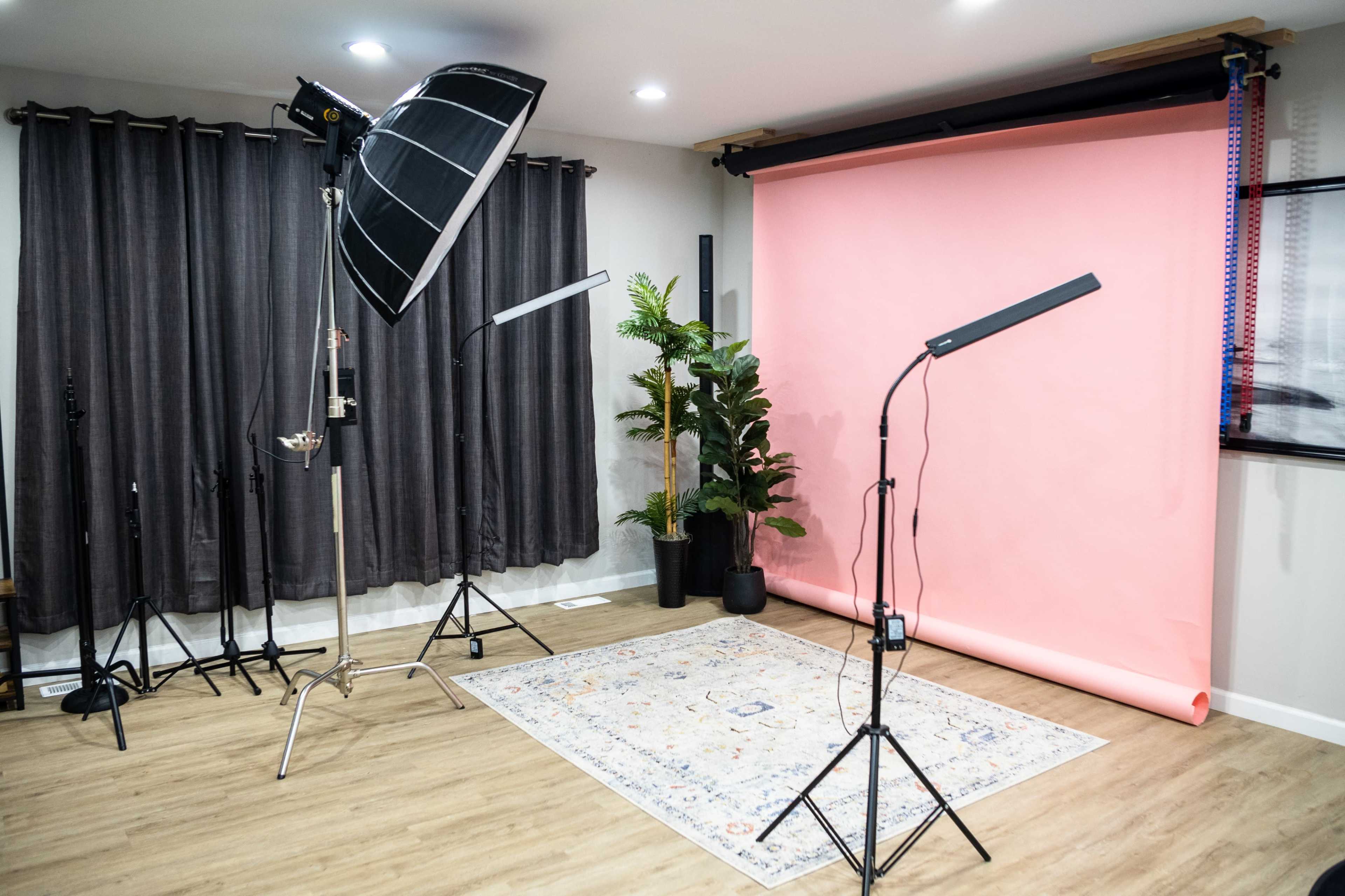 A photography studio setup with a pink backdrop, lighting equipment, and a decorative plant beside a patterned rug on a wooden floor.