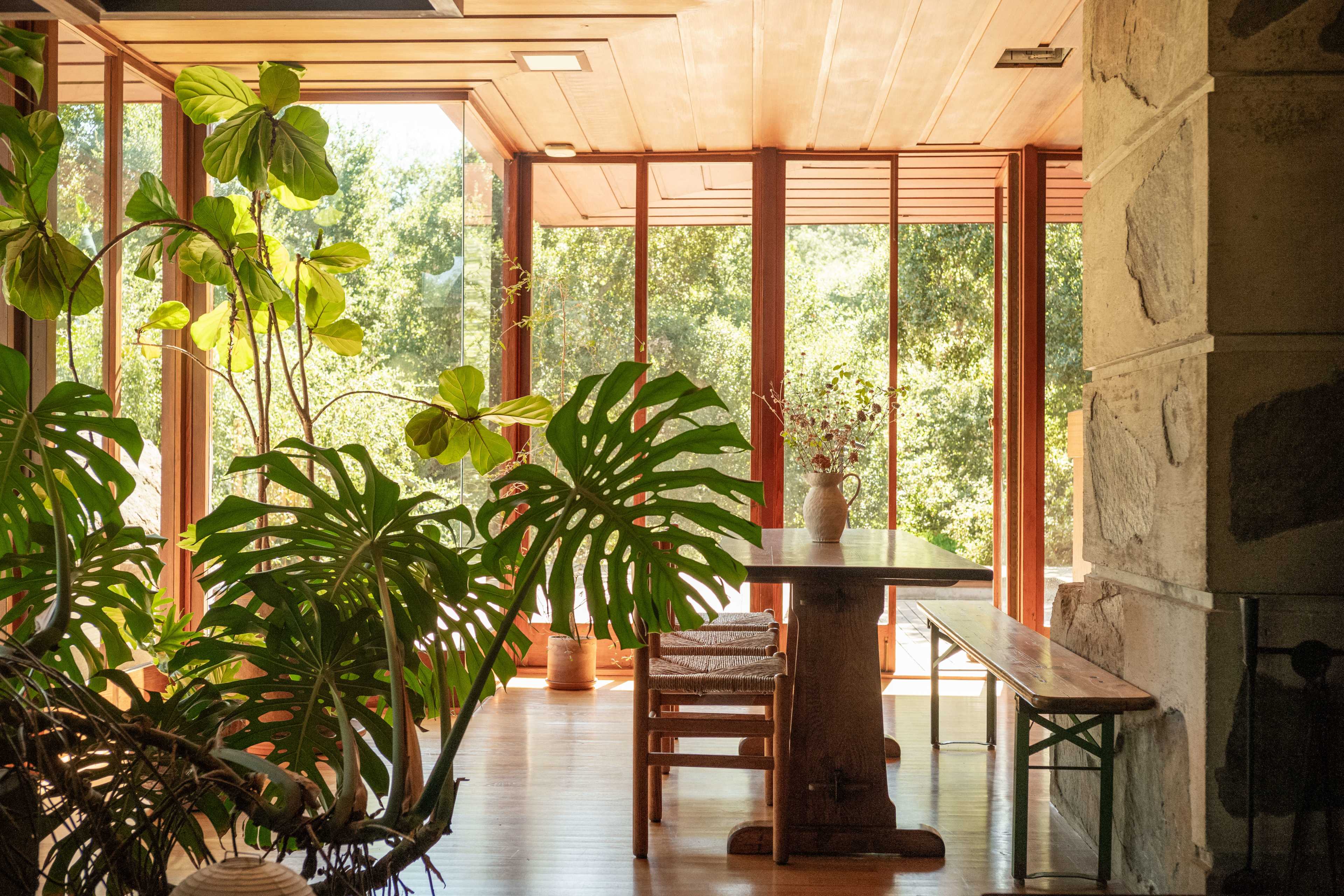 A spacious room features a large wooden table and bench, surrounded by plants, with large glass windows providing a view of the outdoors.