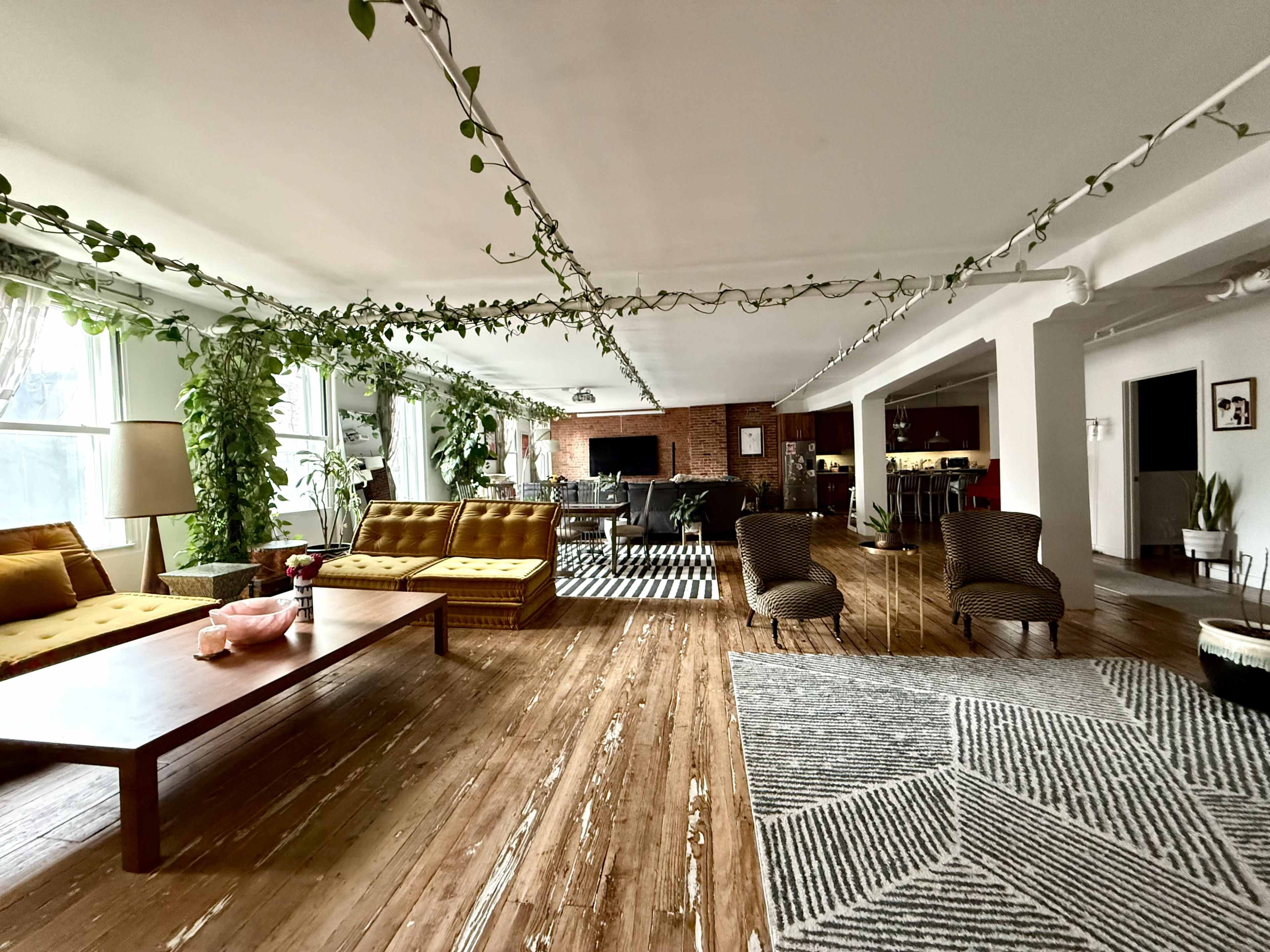 The image shows a spacious living area with wooden floors, several seating arrangements, including yellow sofas and wicker chairs, and abundant greenery throughout the space.