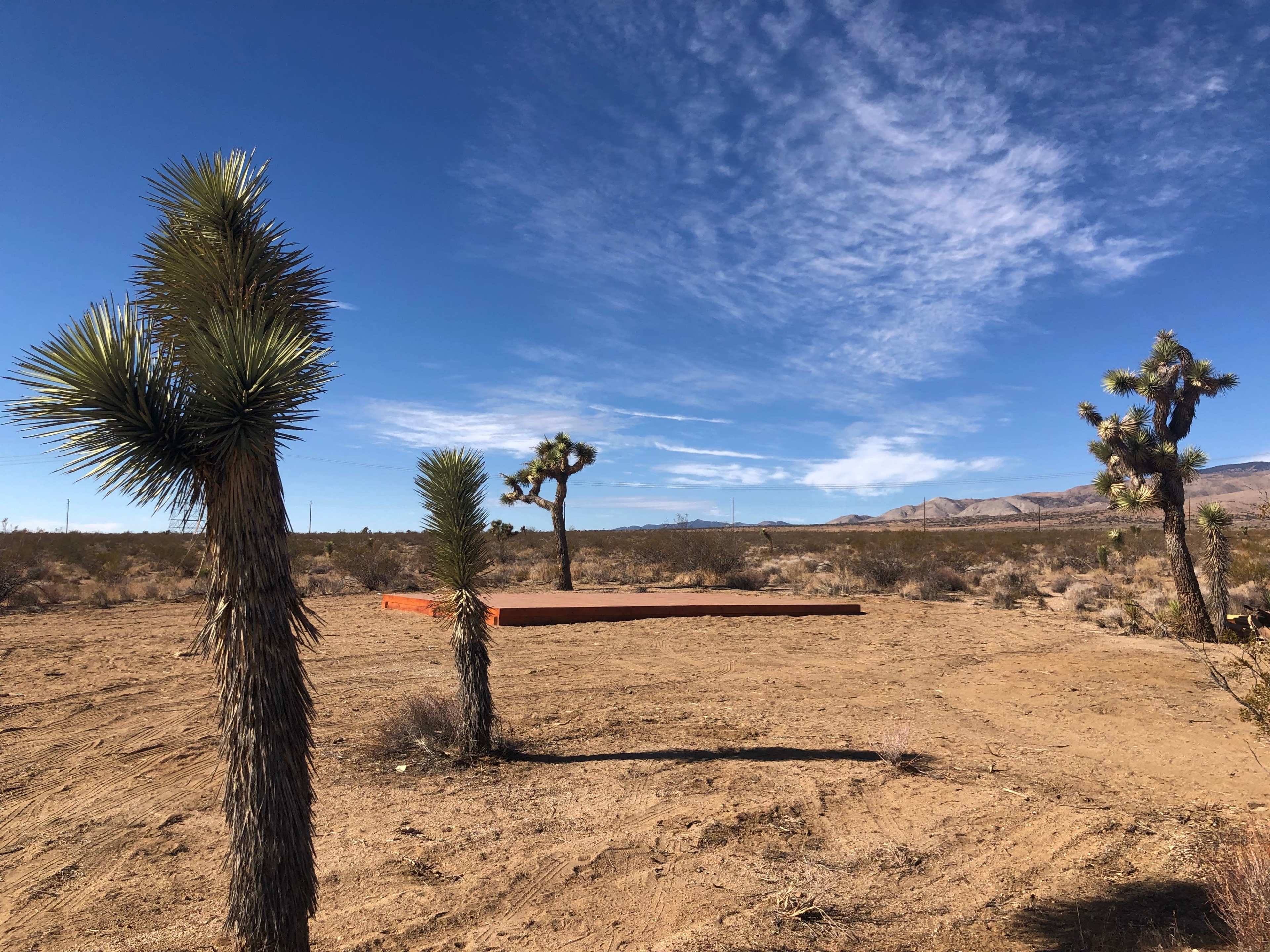 A flat, orange platform is located in a desert landscape, surrounded by several Joshua trees under a blue sky.