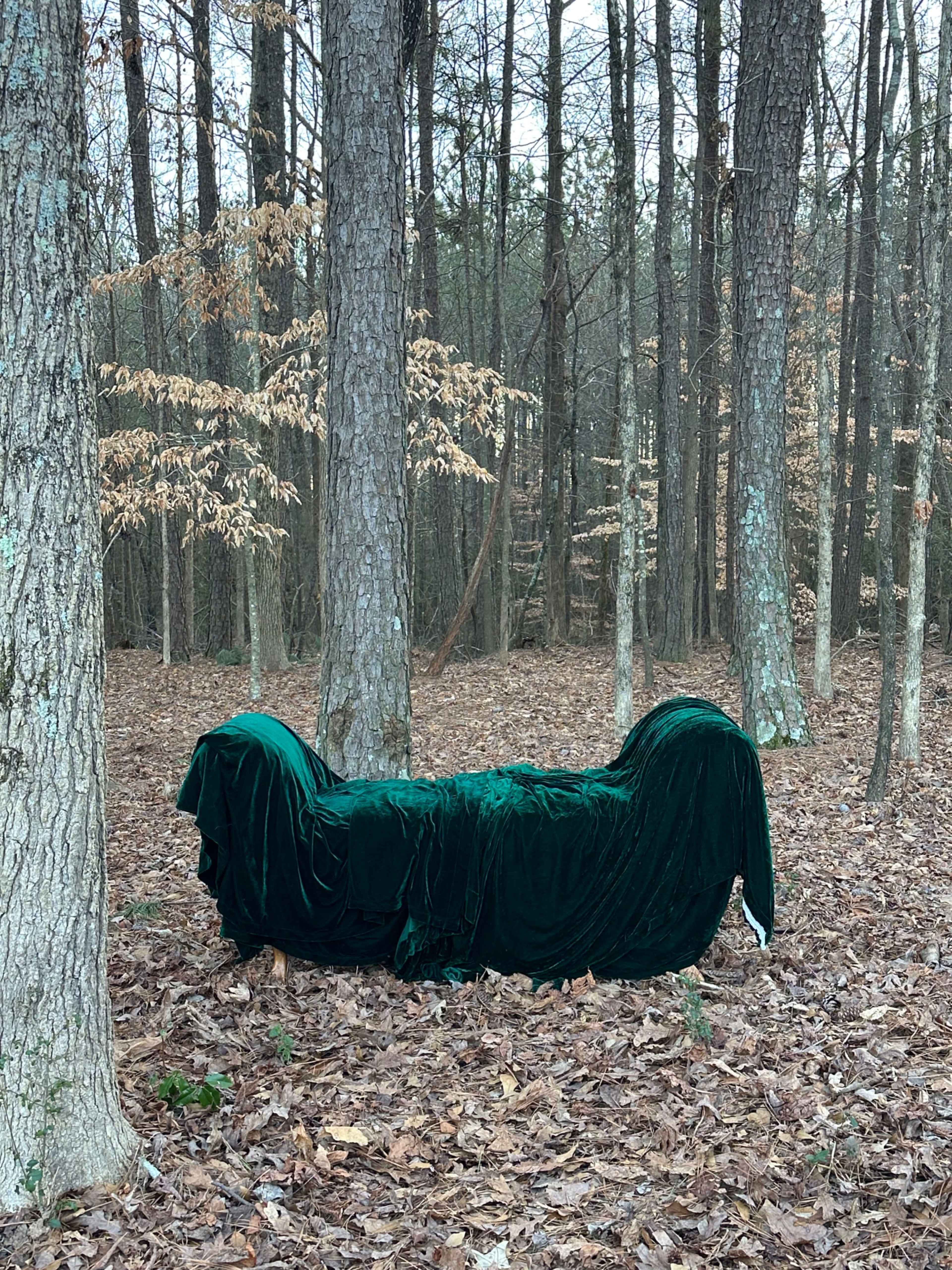 Woodland photo shoot location indoor/outdoor Image in , Buford, GA