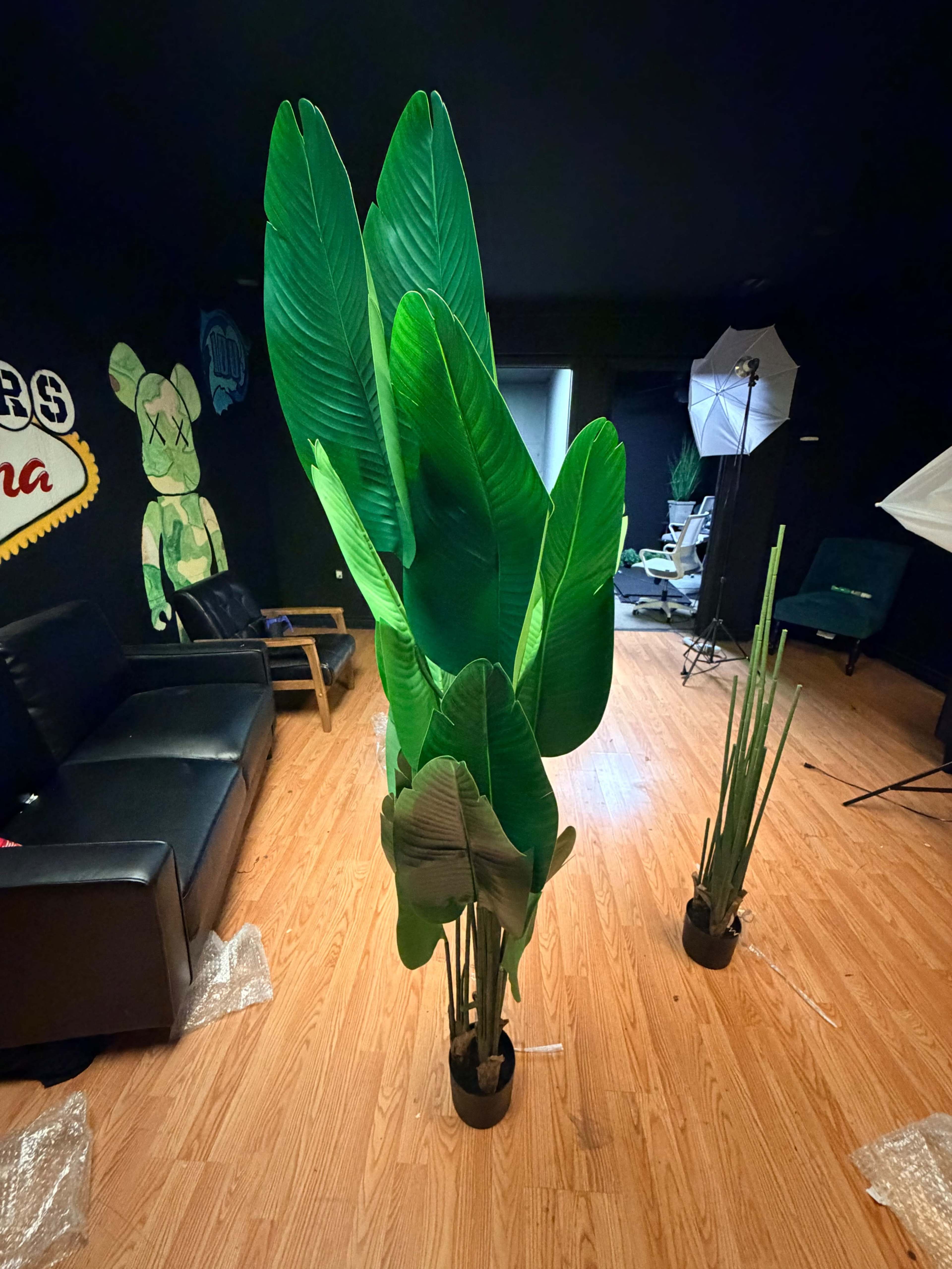 The image shows several large artificial plants positioned in a room with dark walls, wooden flooring, and scattered studio lighting equipment.