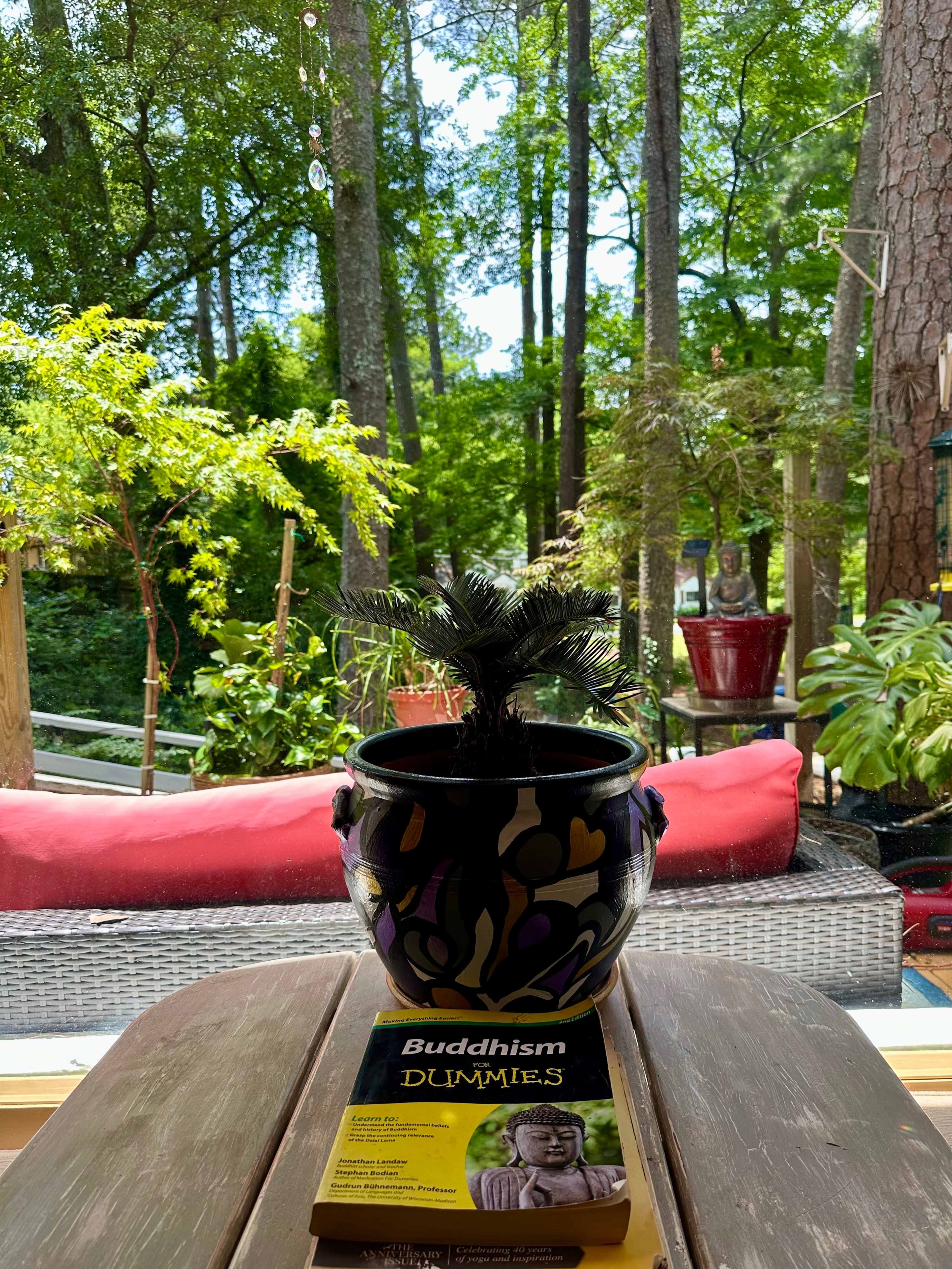 A potted plant sits on a wooden table in front of a book titled "Buddhism For Dummies," with a view of a lush green forest visible through a large window.