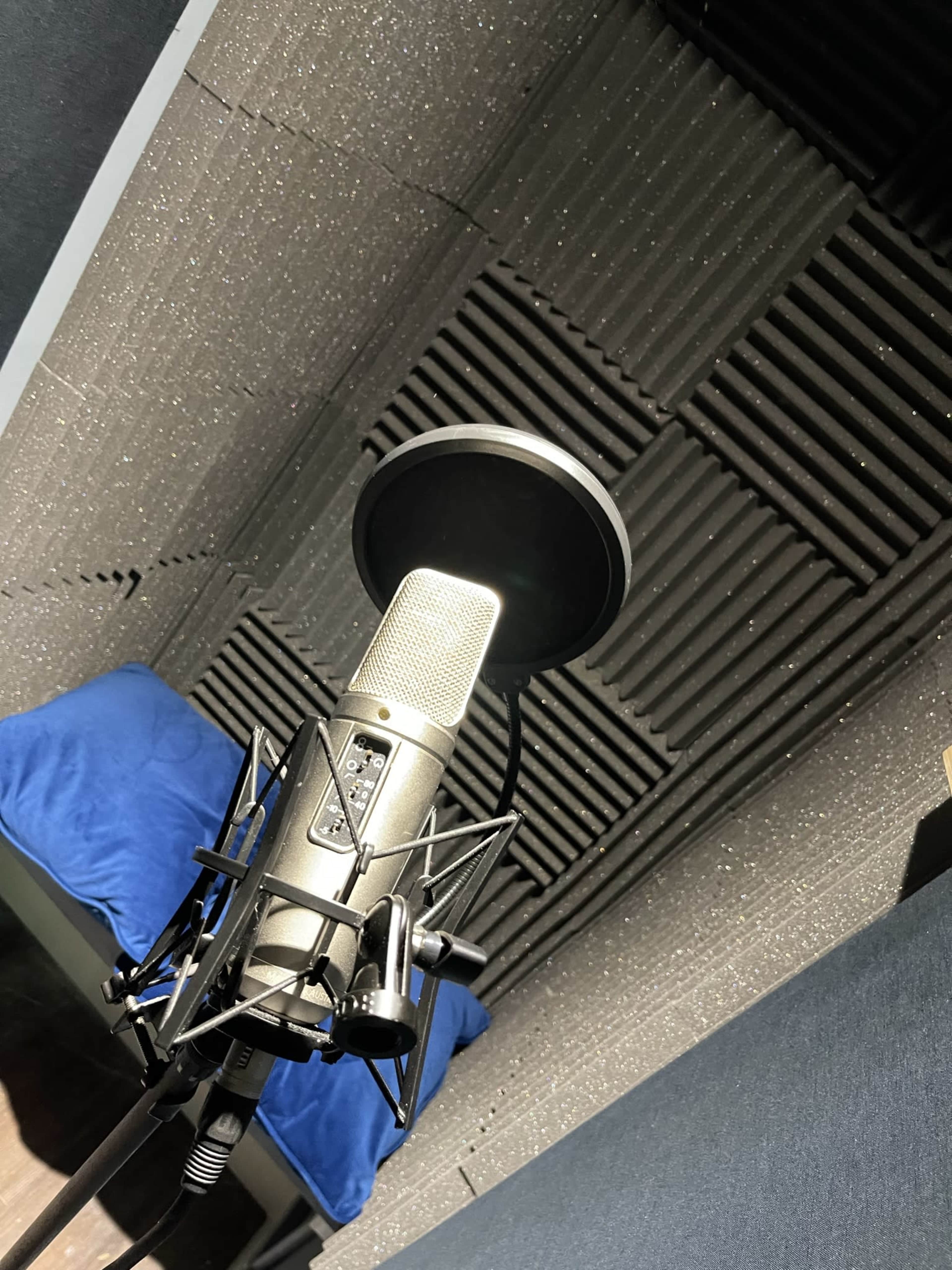 A microphone is positioned on a stand in a soundproof studio with acoustic panels on the walls.