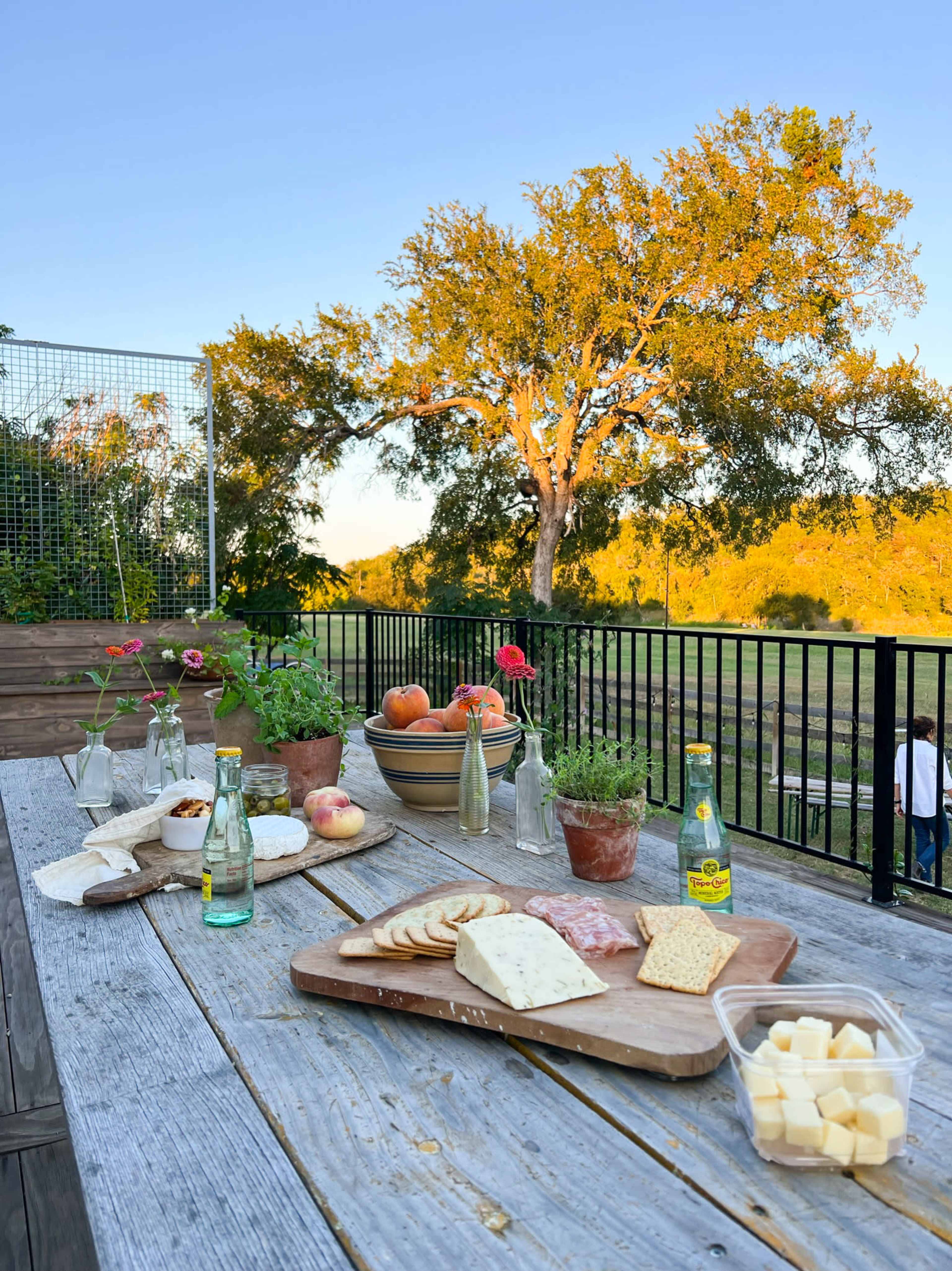 A wooden table displays an assortment of cheeses, cured meats, bread, and beverages, set against a backdrop of a large tree and a clear sky.