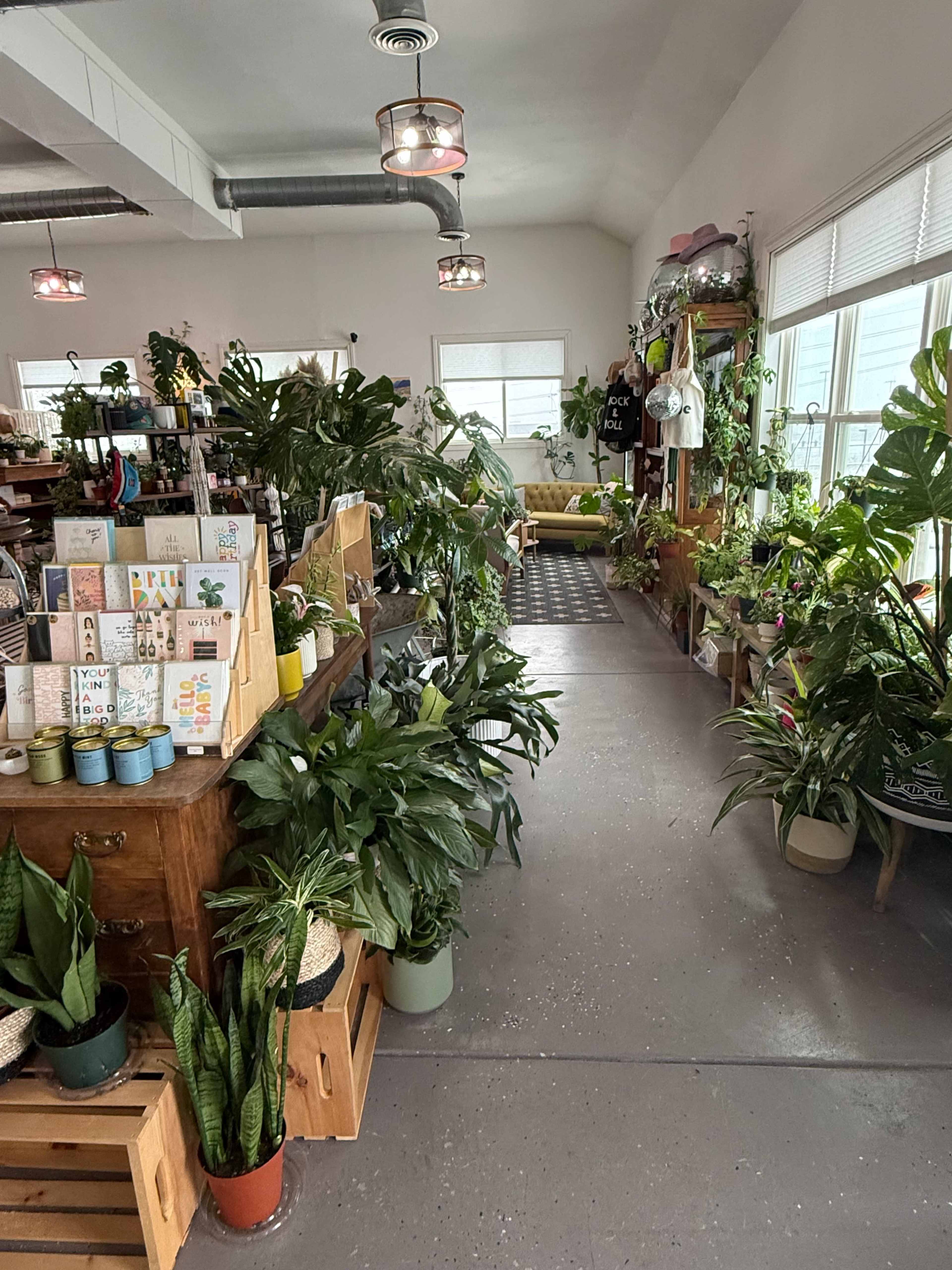 Lush Green Retail Shop With Modern and Cozy Vibes Image in Green Mountainside, Lakewood, CO
