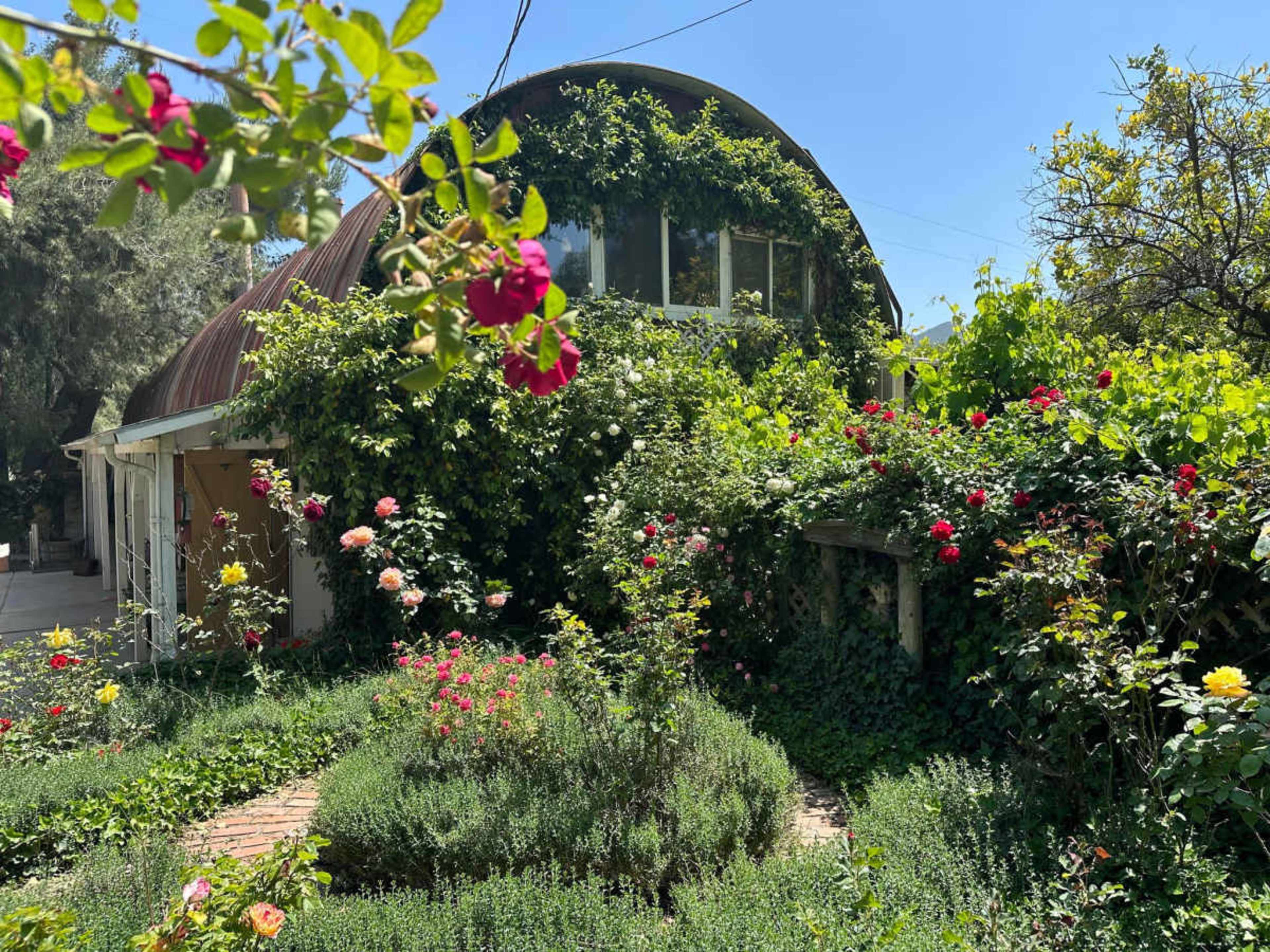 A house with a curved metal roof is surrounded by lush greenery and flowering plants, creating a vibrant garden scene.