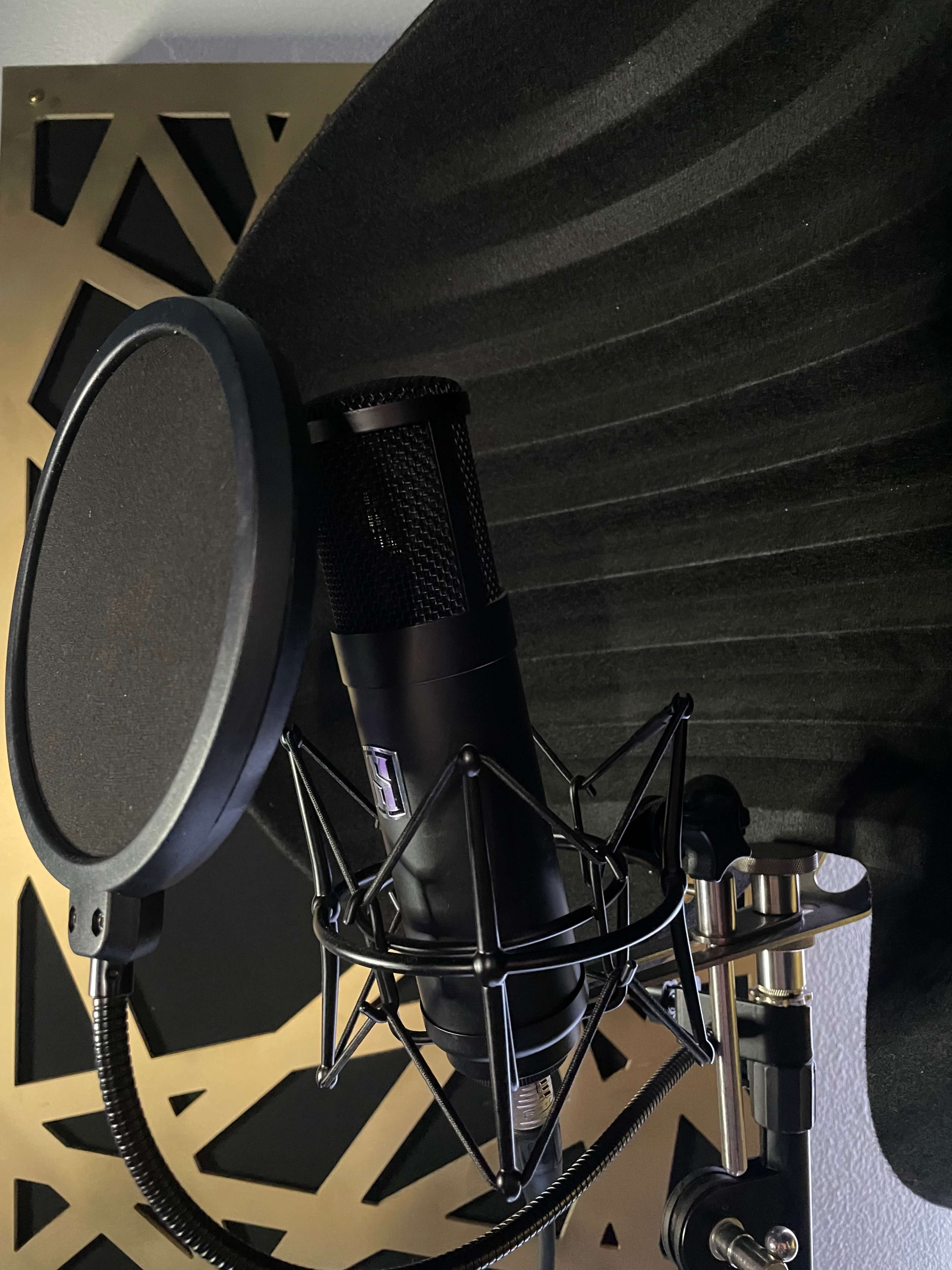 A microphone is positioned in front of a sound-absorbing panel with a pop filter attached.