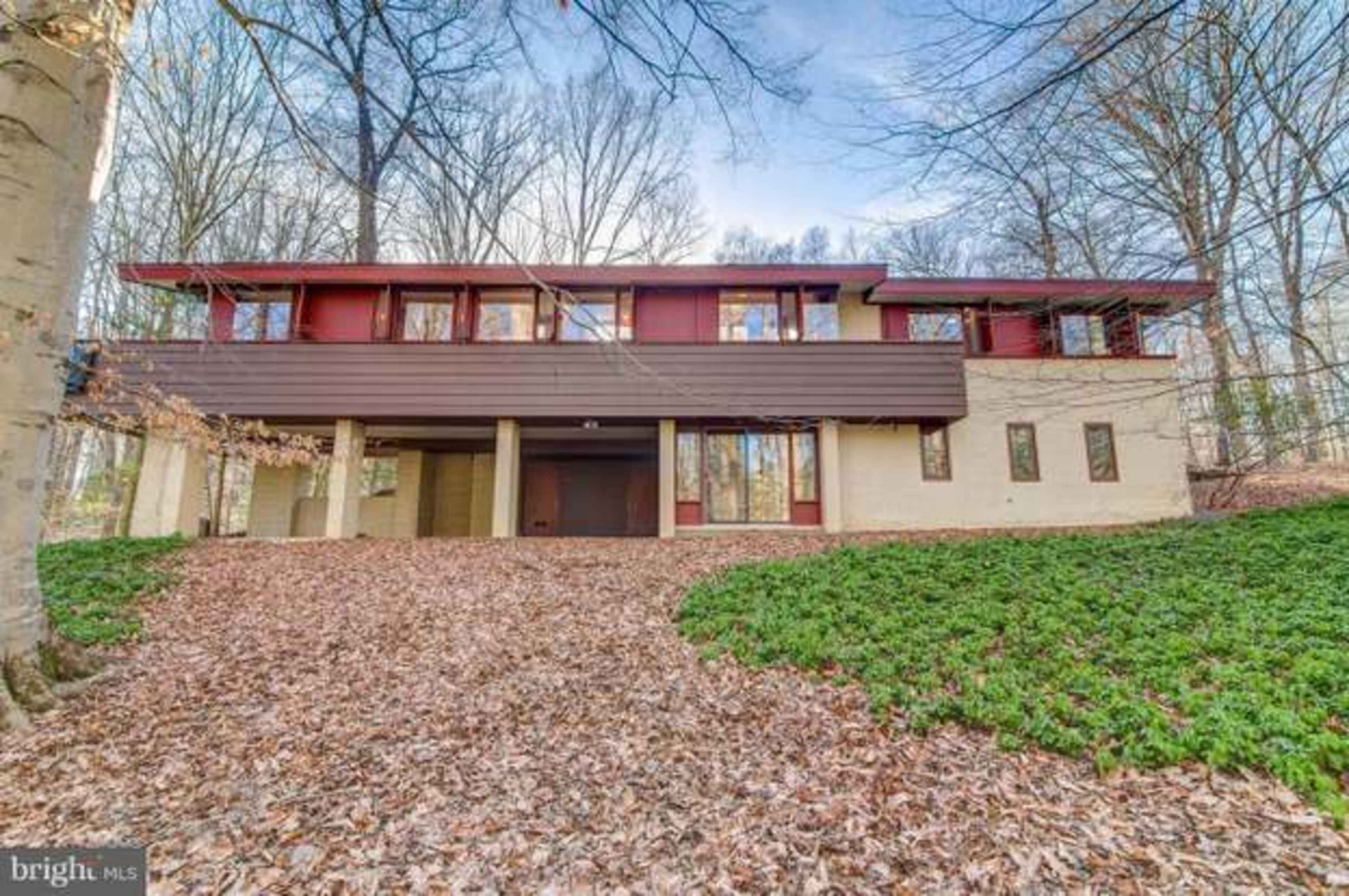 The "Treehouse": Mid Century Modern in 5 acres of Private Forest w/River Trail Access Image in Great Falls, Great Falls, VA