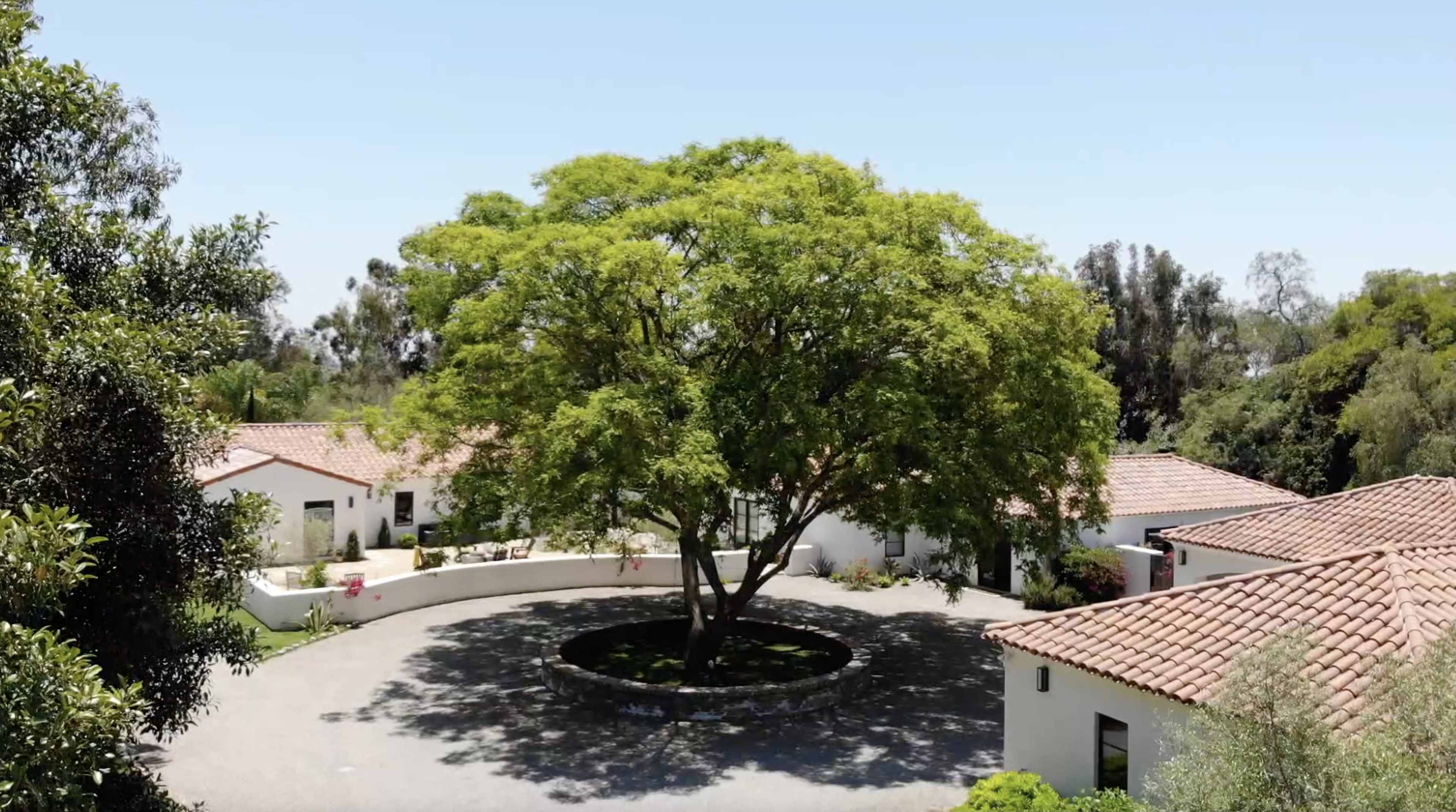 A large tree stands in the center of a circular driveway, surrounded by white buildings with red-tiled roofs.