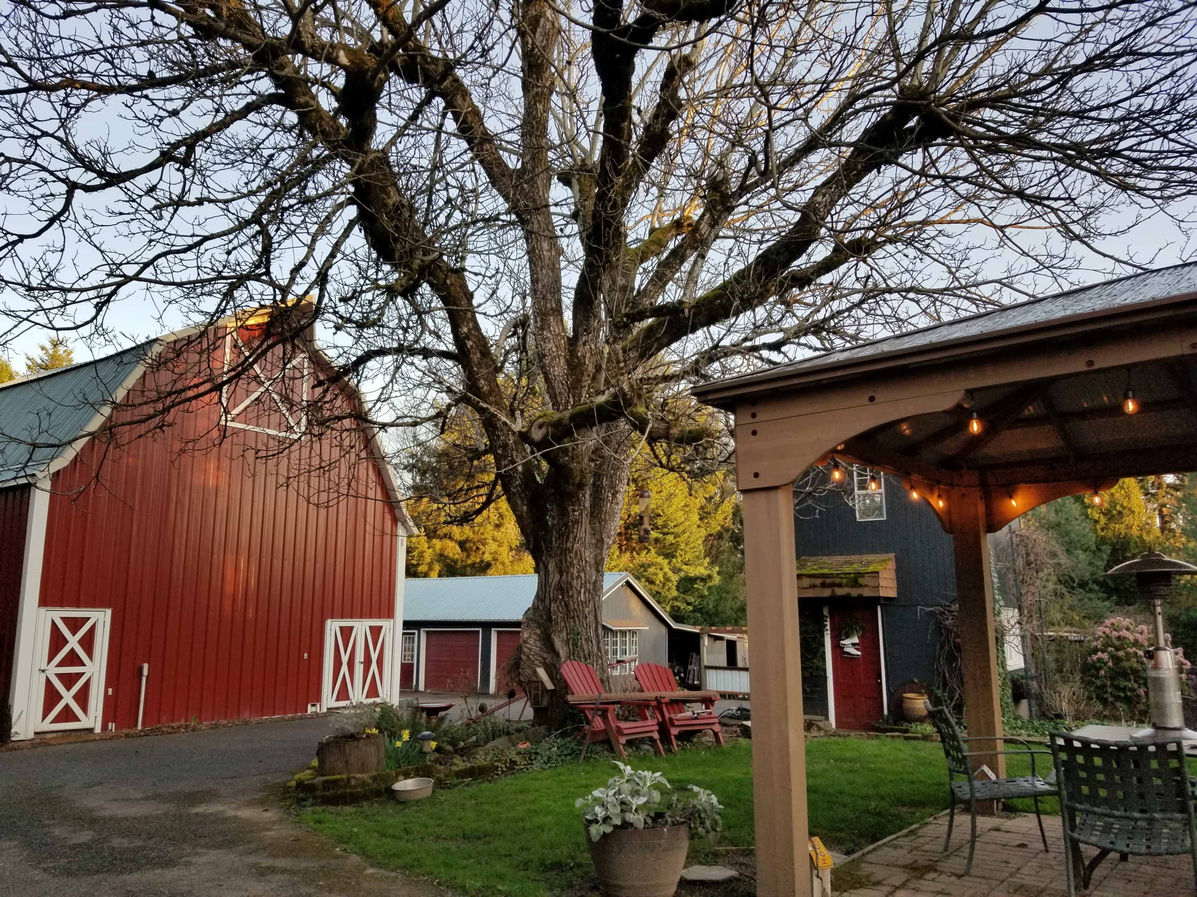 A large, bare tree stands next to a red barn and several outbuildings, with a patio area featuring outdoor furniture in the foreground.
