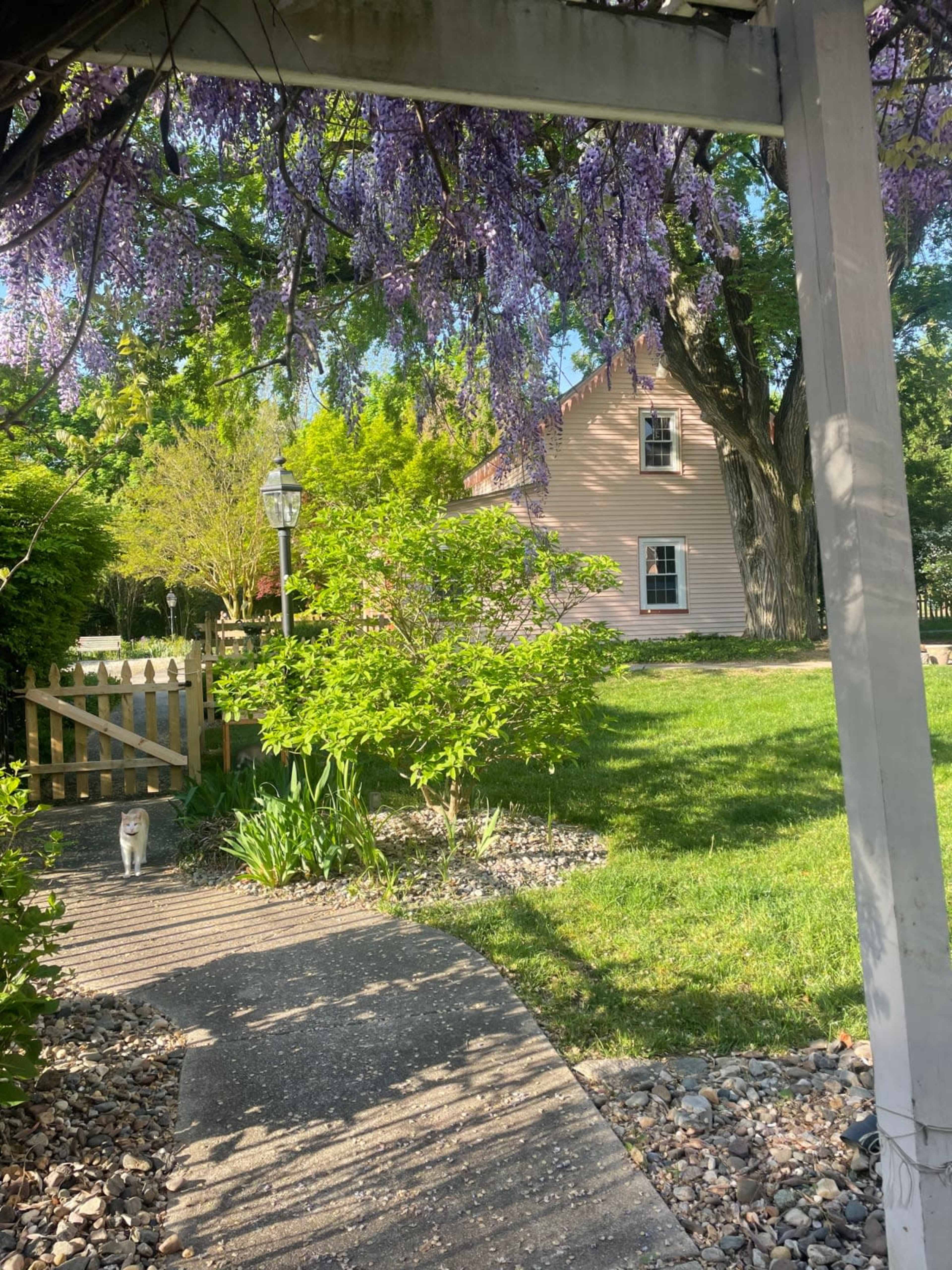 Charming and Whimsical Victorian Home & Property Image in Mauricetown, Mauricetown, NJ