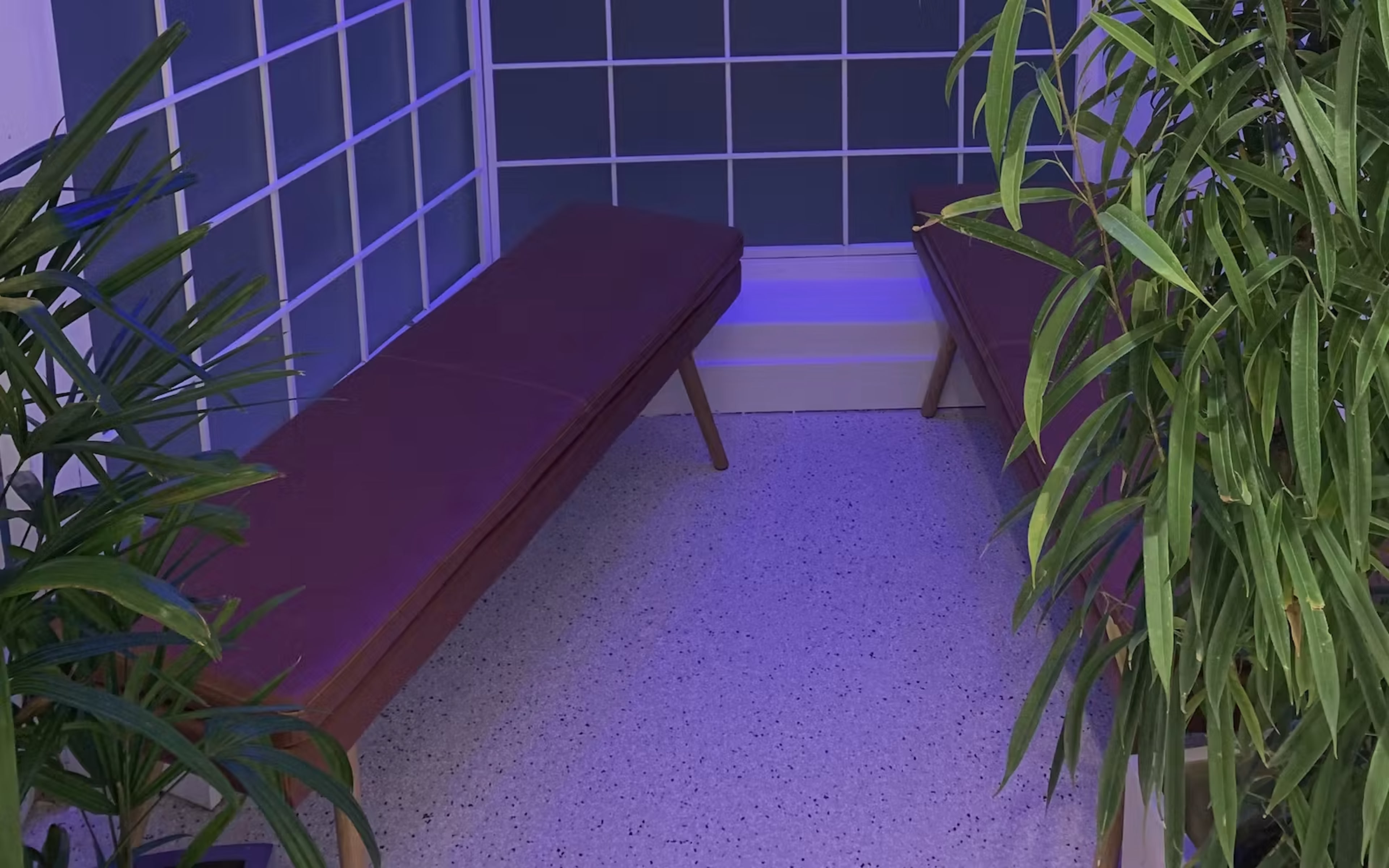 A small, brightly lit room with two brown benches and green plants placed on either side.