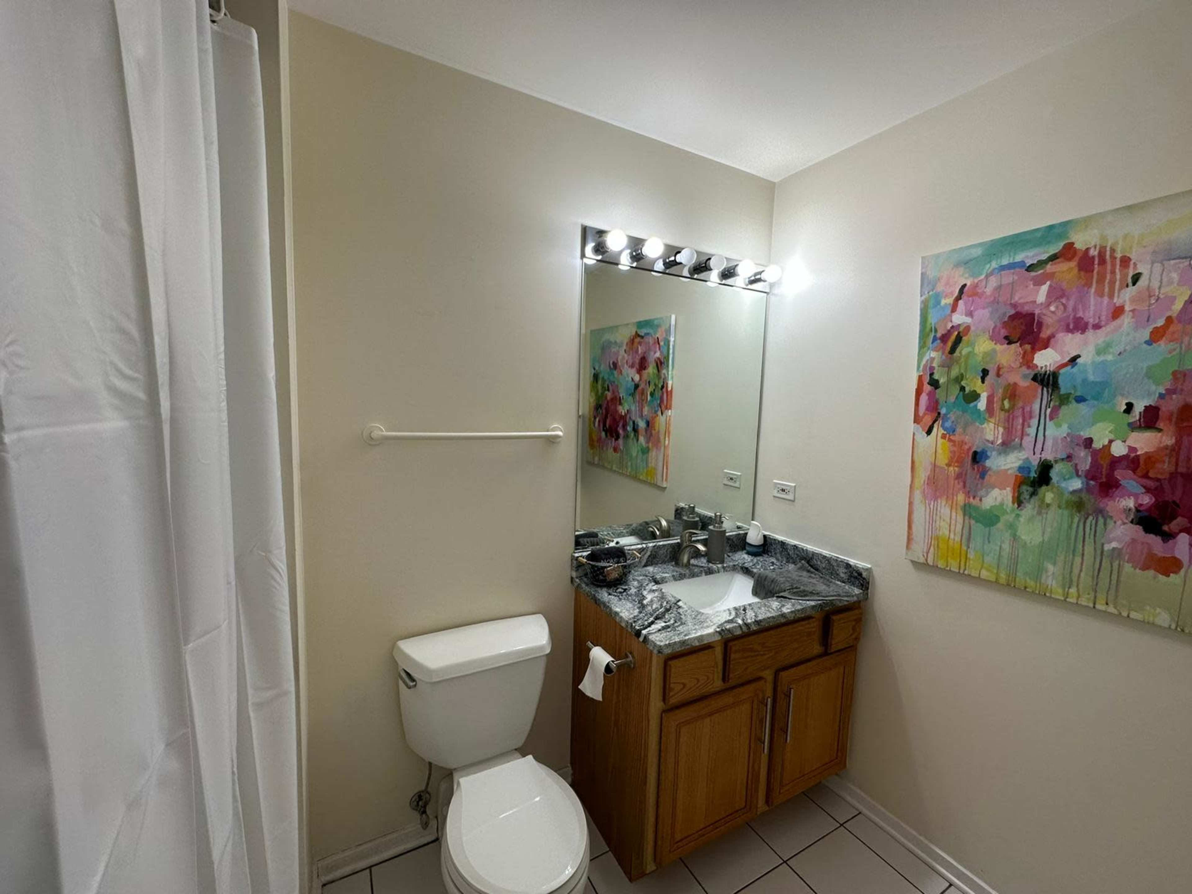 A small bathroom featuring a toilet, a sink with a granite countertop, a mirror with lighting, and a colorful abstract painting on the wall.