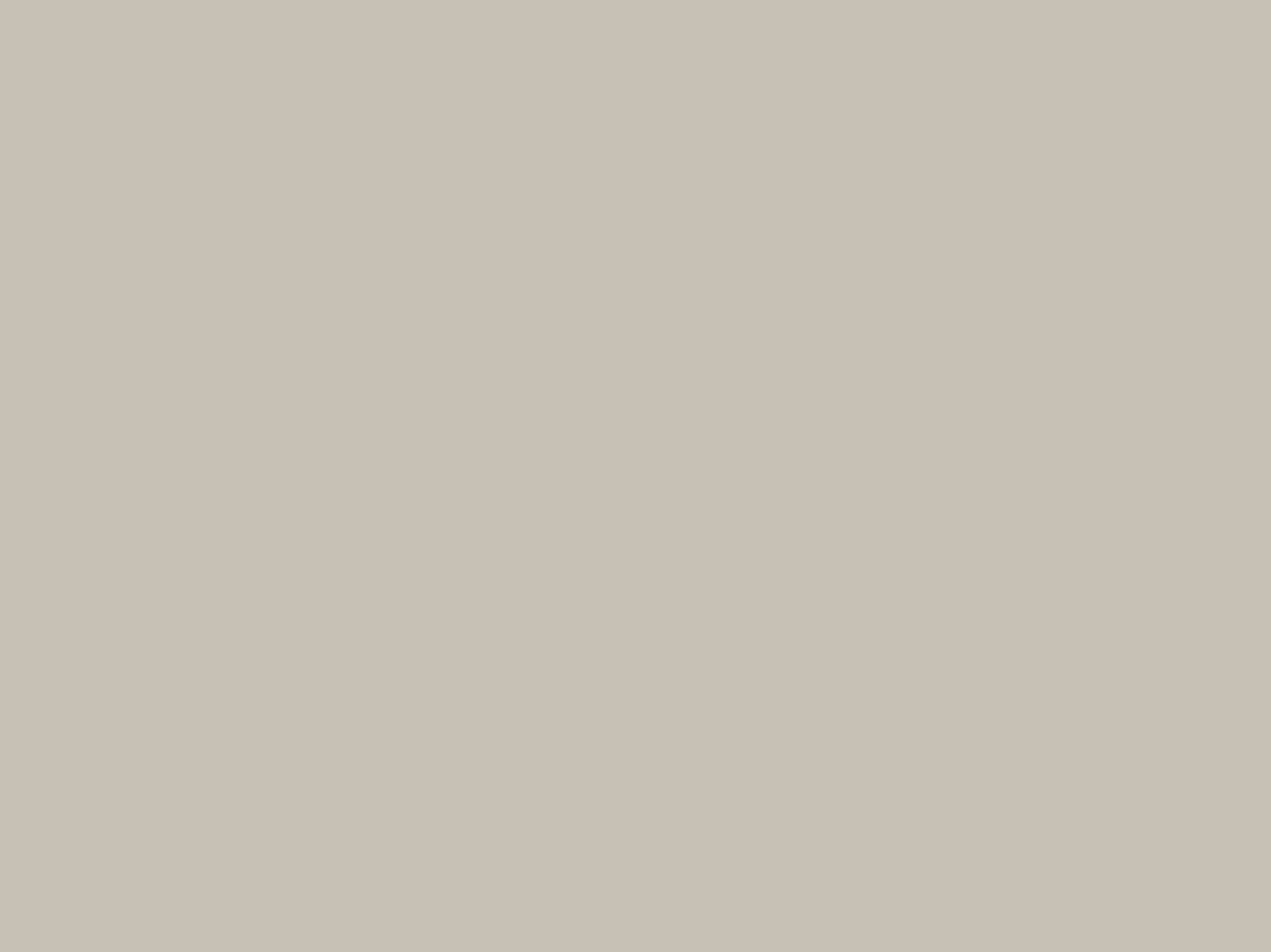  #12 Studio Gray  Savage Seamless 9' x 10' Pull