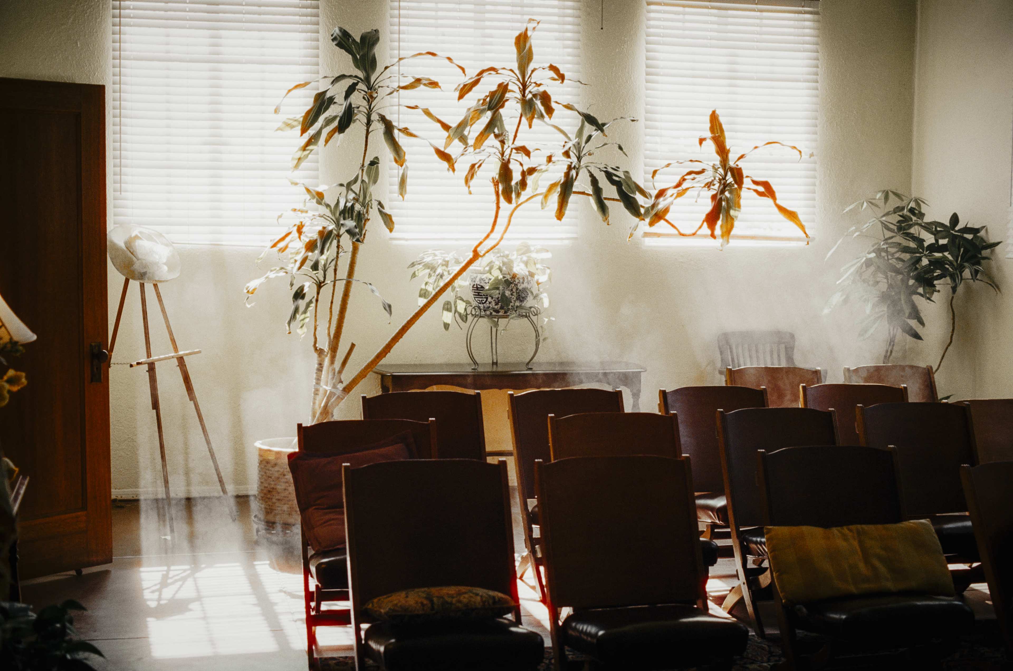 The image shows a room with several wooden chairs facing an easel, illuminated by sunlight streaming through window blinds.