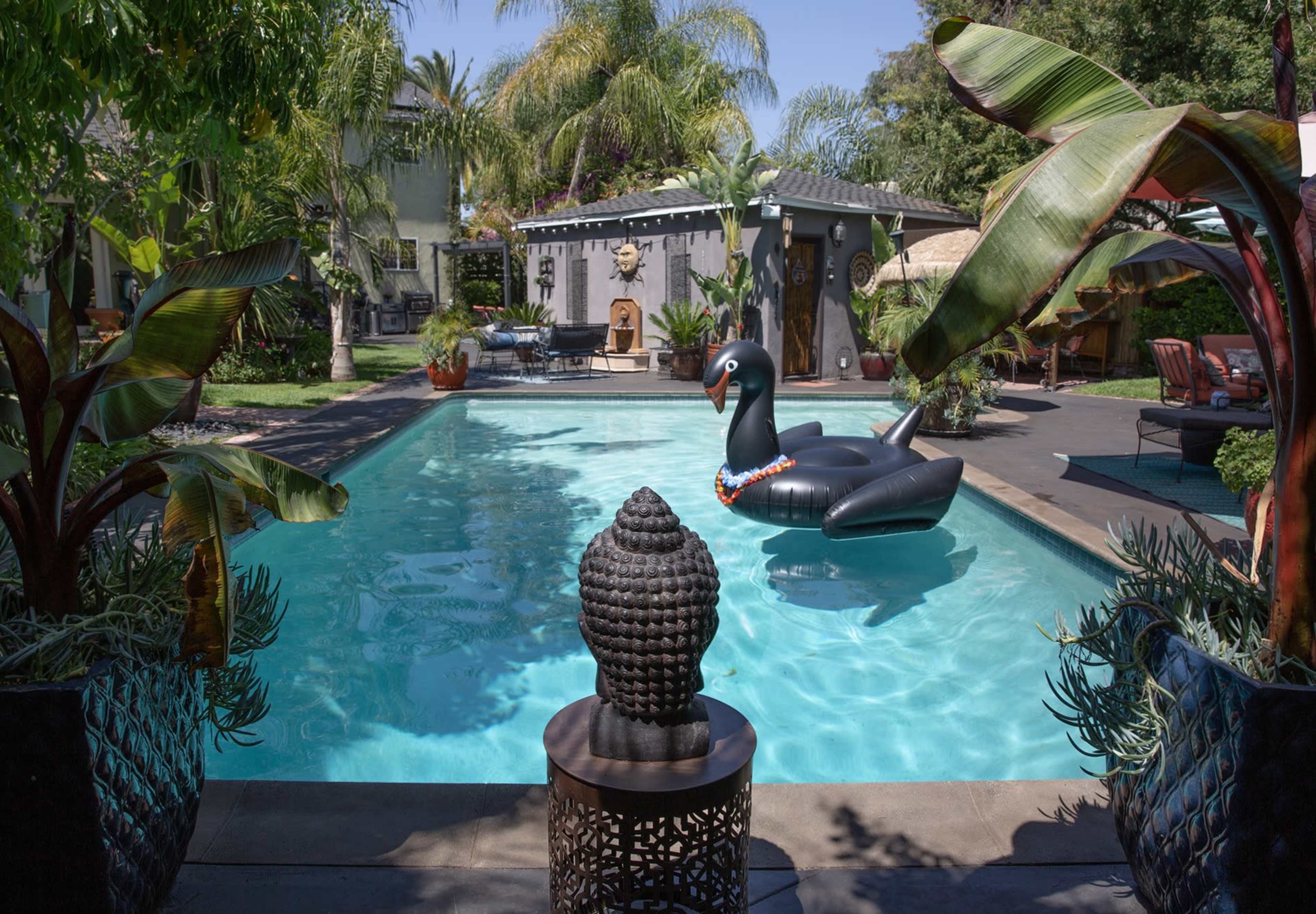 A large inflatable black swan floats in a clear pool surrounded by palm trees and tropical plants.