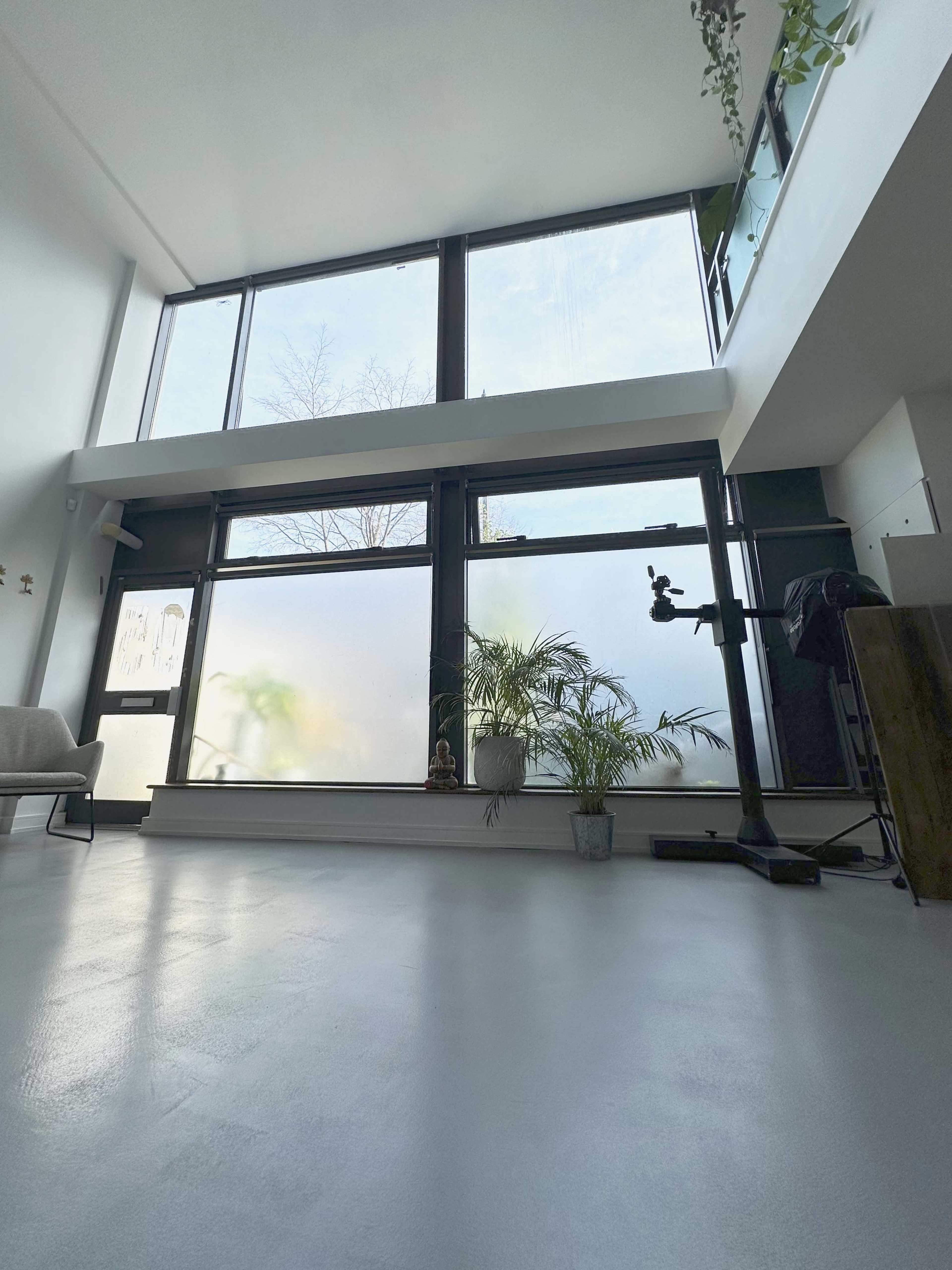 A modern, spacious room with large windows allowing natural light to fill the space, featuring a few plants and minimalist furniture.