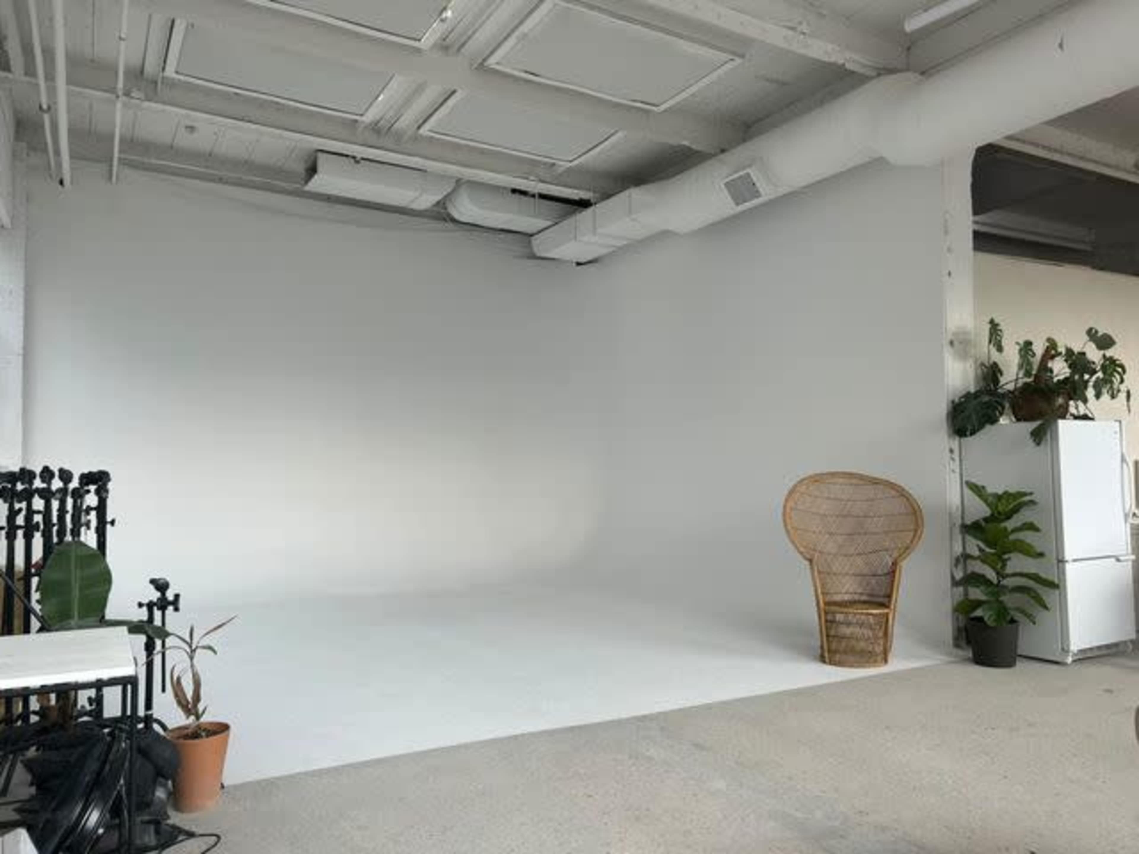 A minimalist studio space with a white backdrop, a wicker chair, and a few potted plants.