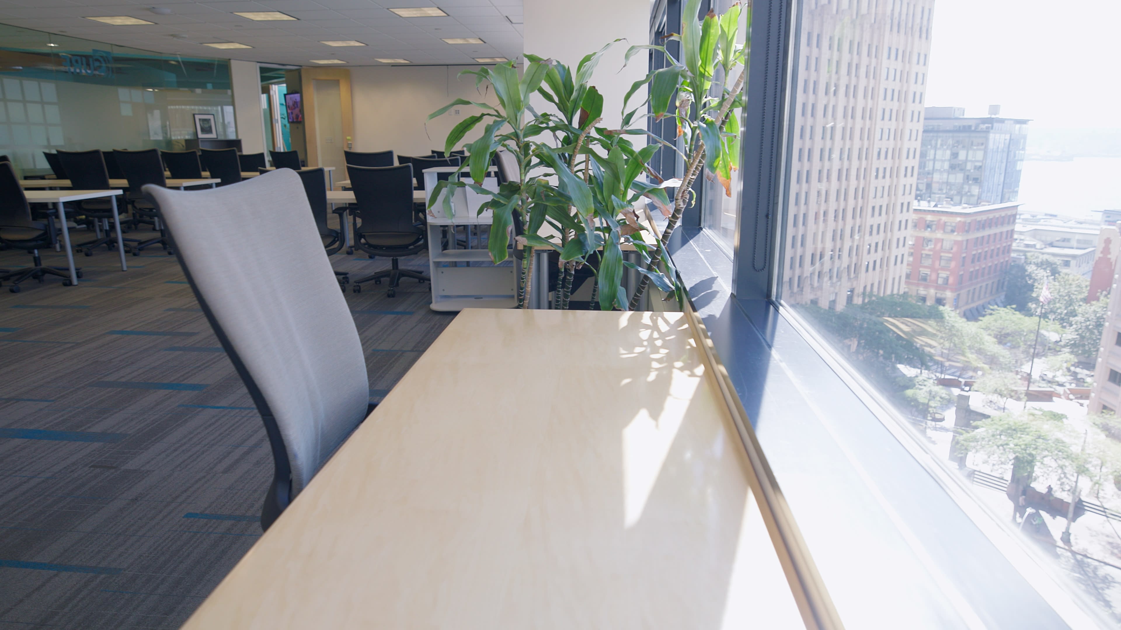 An office space features a wooden desk near a large window with a view of a cityscape, accompanied by a green indoor plant.