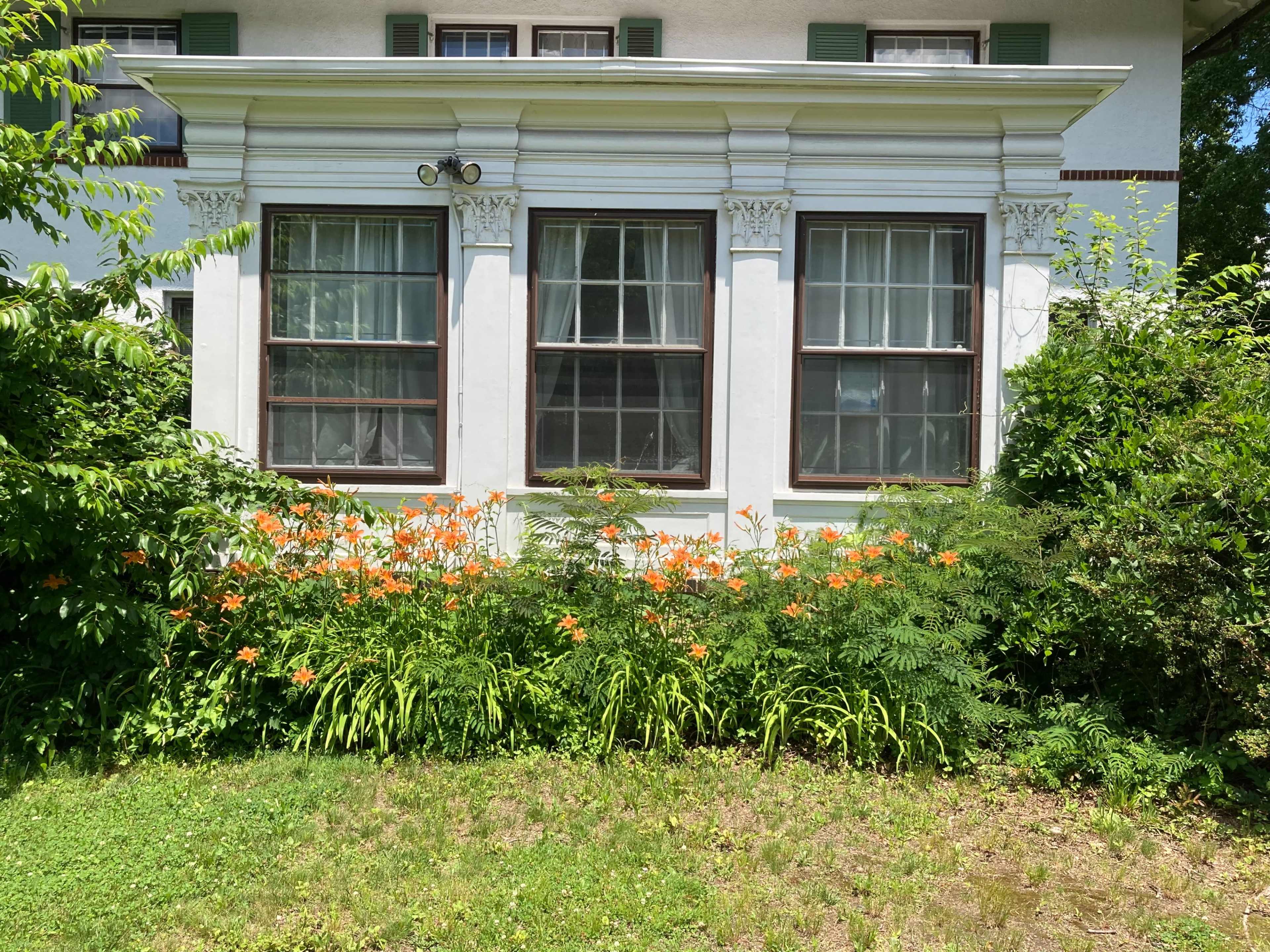 A section of a house with two large windows framed by flowering plants and greenery in front.