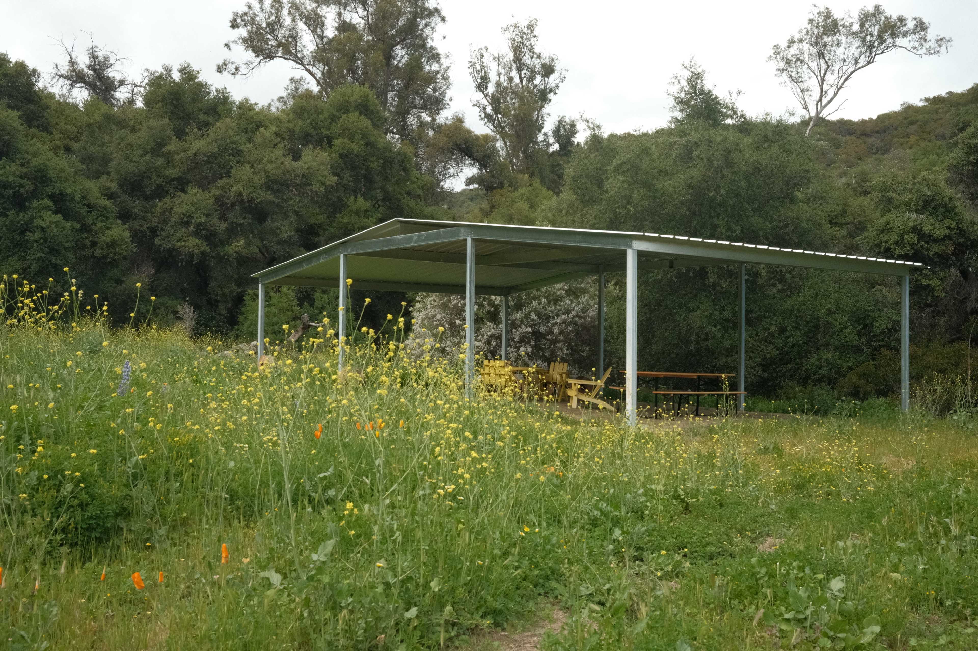 A metal shelter is located in a field filled with wildflowers and surrounded by trees.