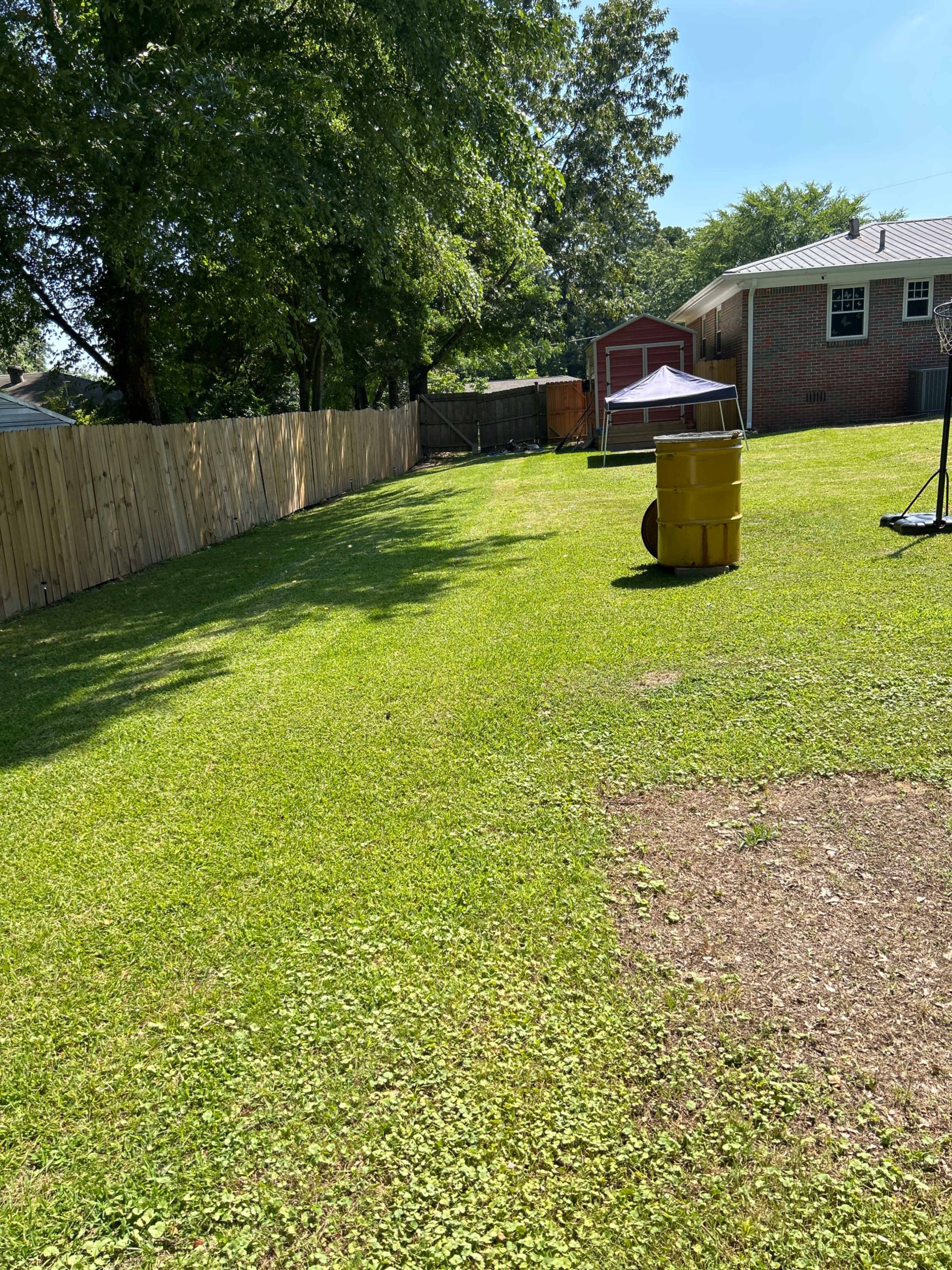 A grassy backyard with a wooden fence, a yellow barrel, and a canopy in the background.