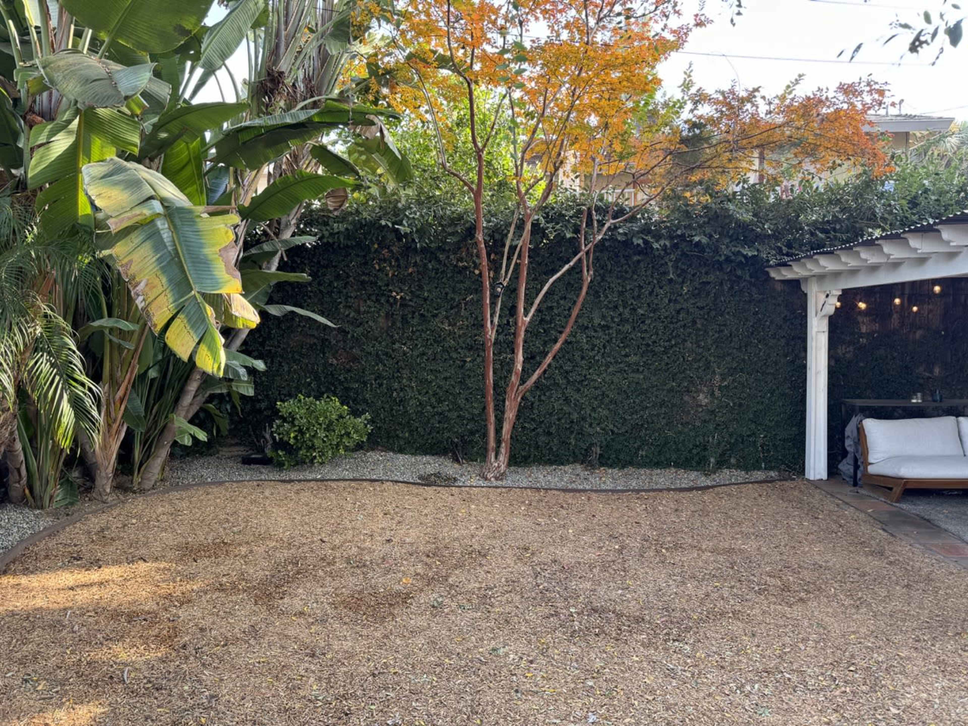 A backyard scene features a gravel area bordered by tropical plants and a small tree, with a wooden structure in the corner.