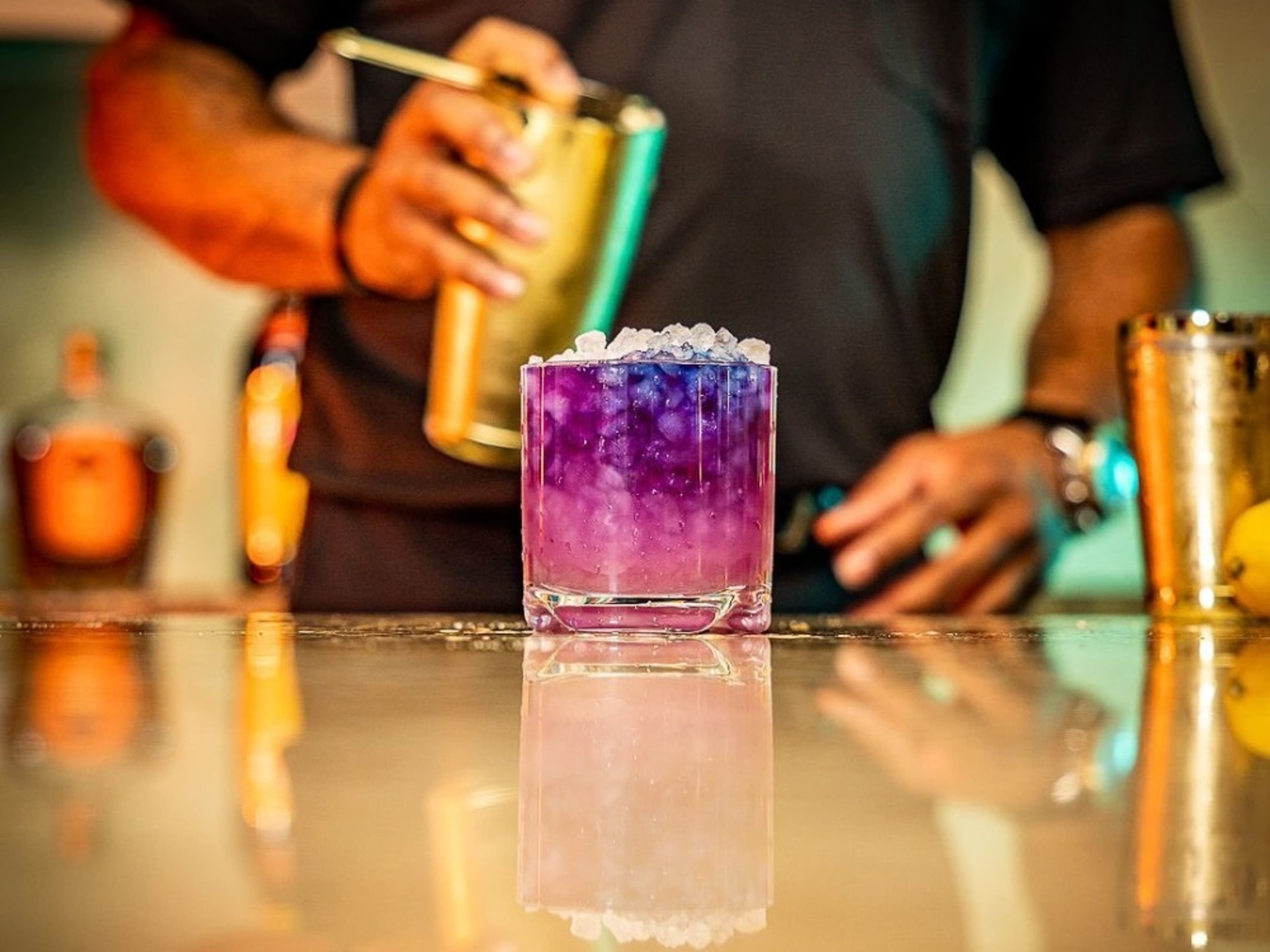 Professional Bartender