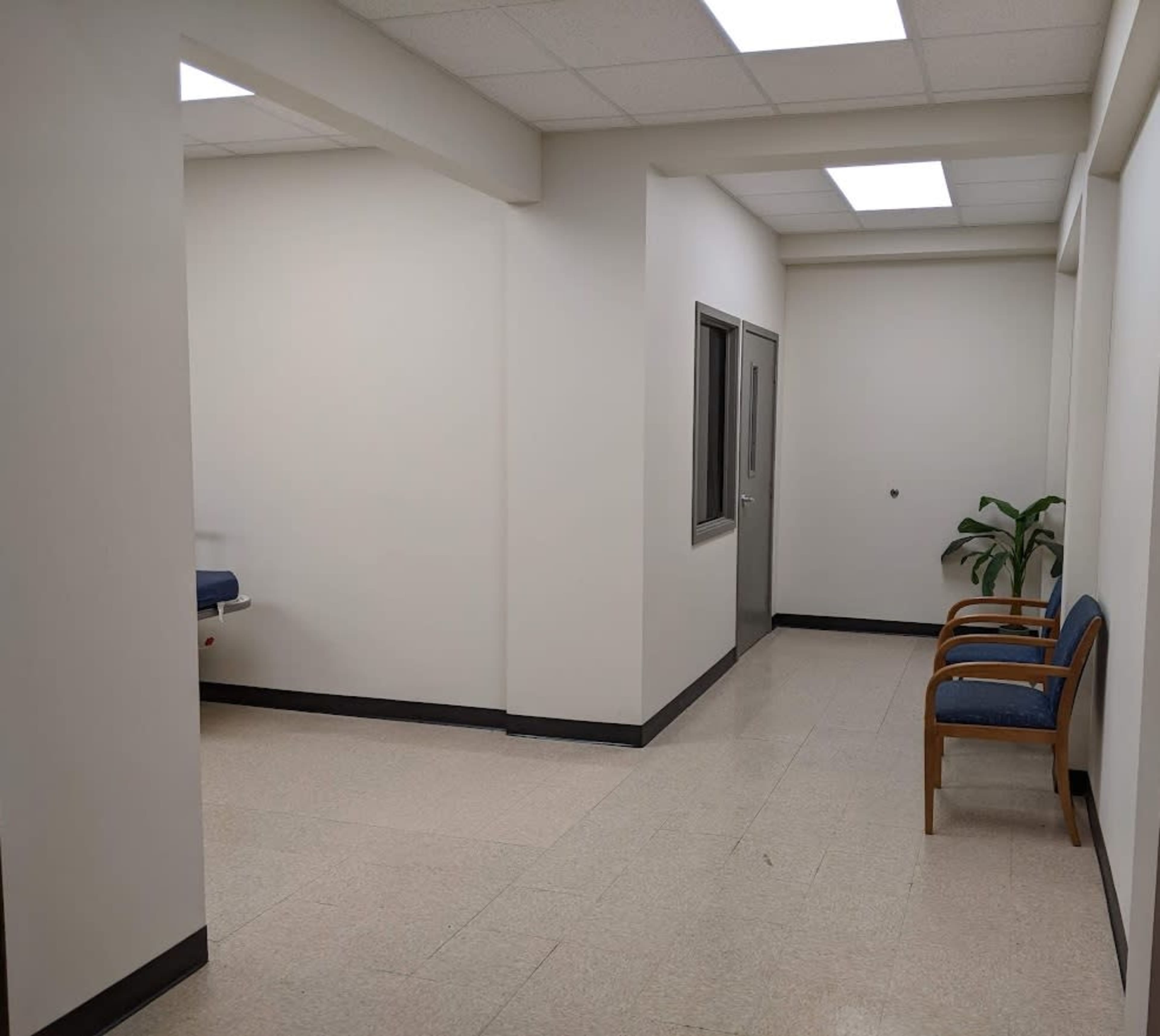 The image shows a clean, well-lit corridor in a medical facility, featuring a bench, a door, and a small plant.