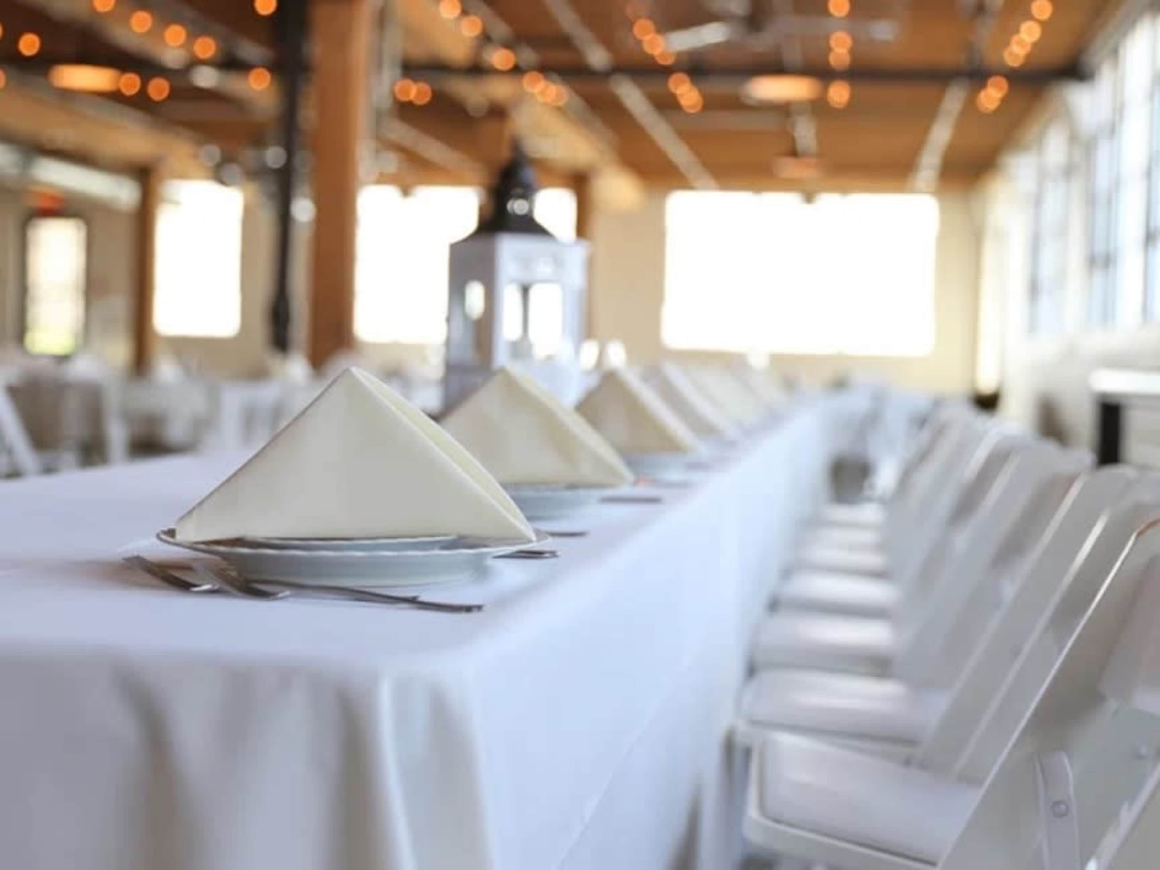 Cloth Napkin Rental 