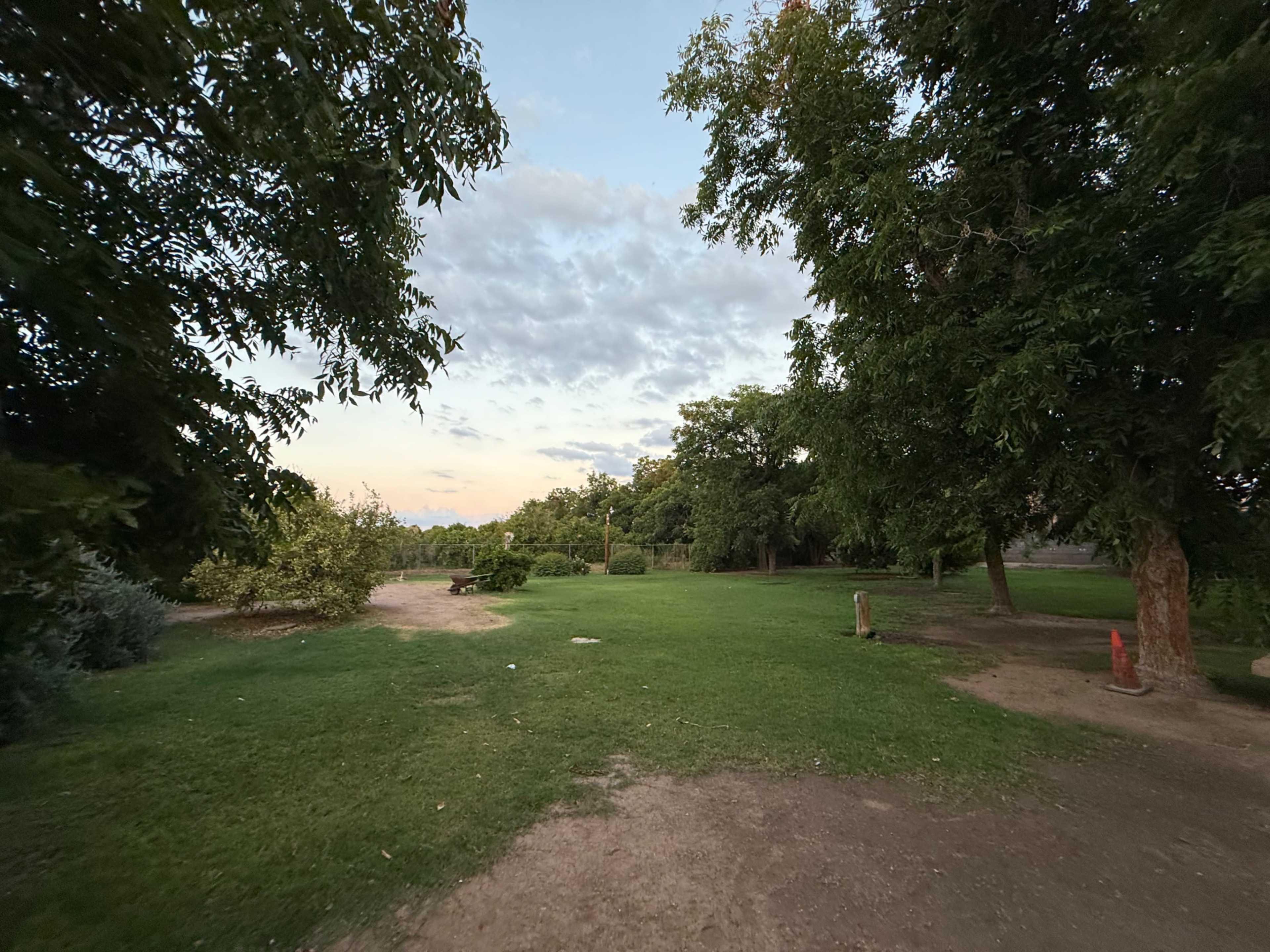 Jewell groves Image in Chandler Heights Citrus, Queen Creek, AZ